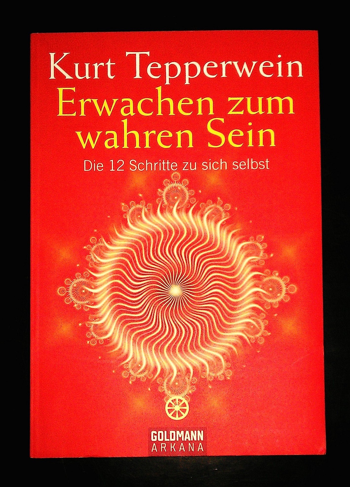 Erwachen zum wahren Sein: Die 12 Schritte zu sich selbst Lifestyle