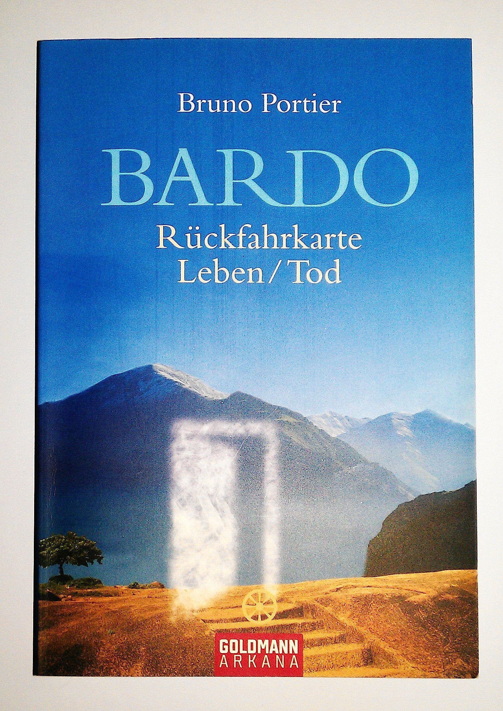 Bardo: Rückfahrkarte Leben/Tod - Roman Books