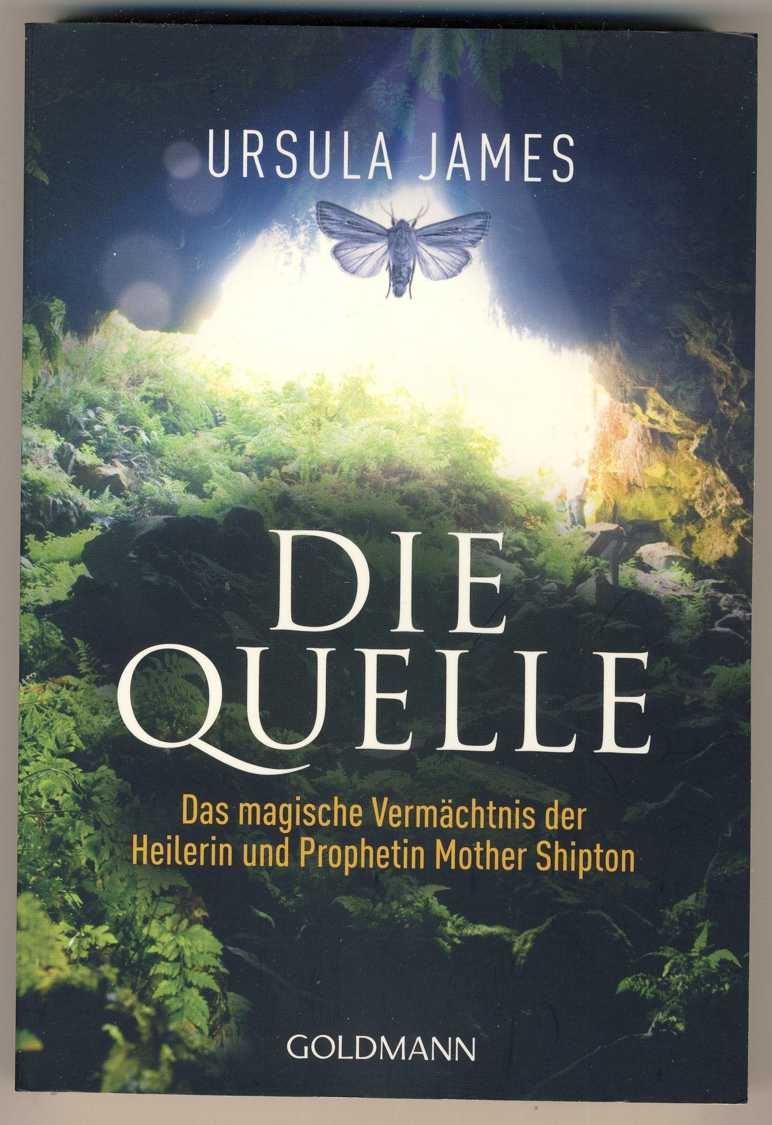 Die Quelle: Das magische Vermächtnis der Heilerin und Prophetin Mother Shipton Religion & Esotericism