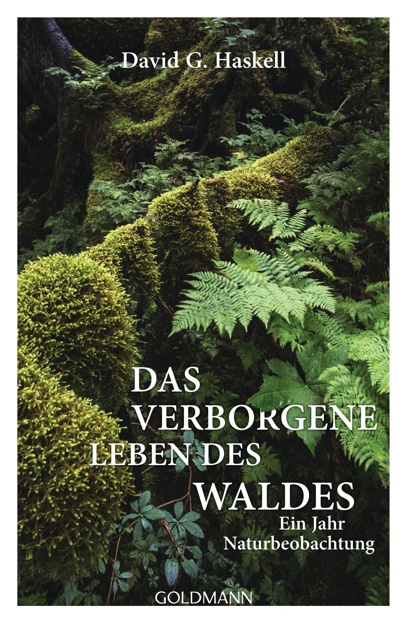 Das verborgene Leben des Waldes Film, Art & Culture