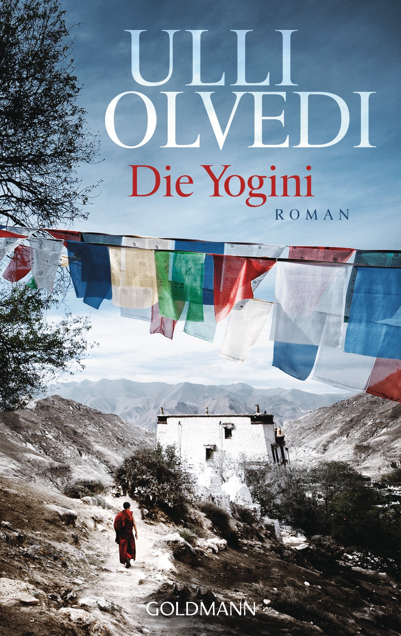 Die Yogini Contemporary literature Books