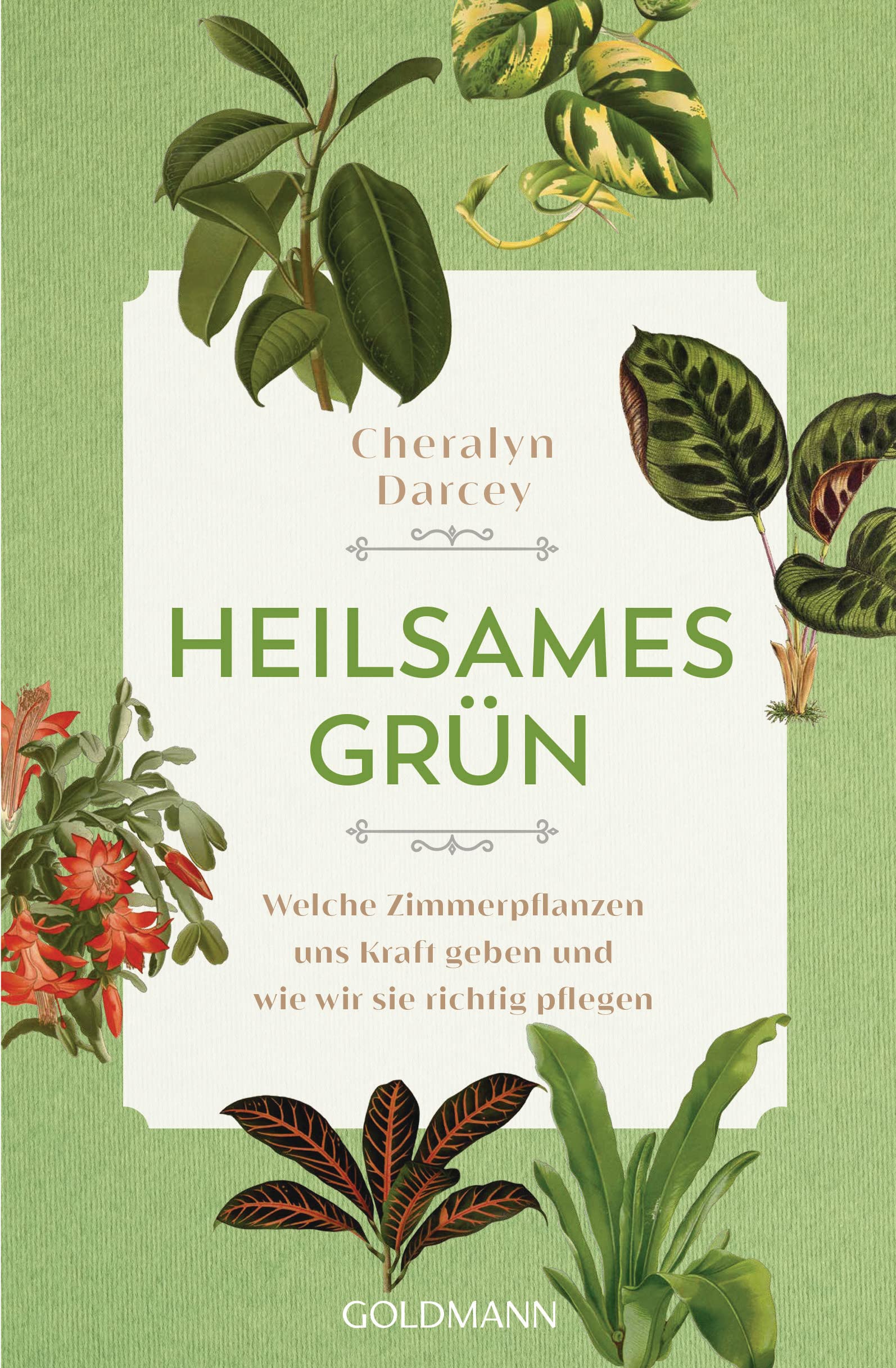 Heilsames Grün Garden & Plants