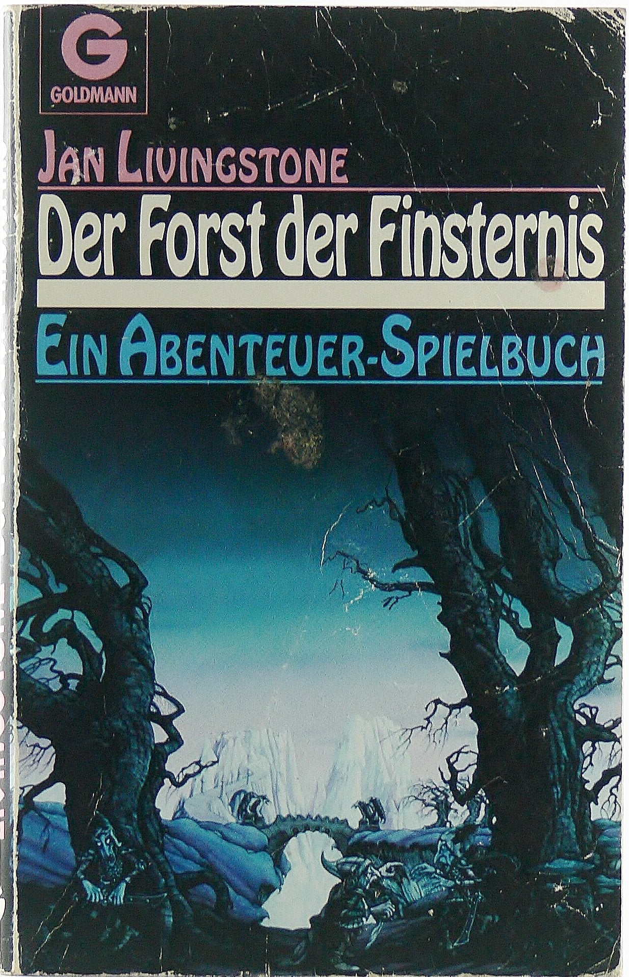 Der Forst der Finsternis. Ein Abenteuer-Spielbuch Leisure & Fun