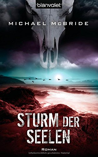 Sturm der Seelen: Roman Fantasy & Sci-Fi Books