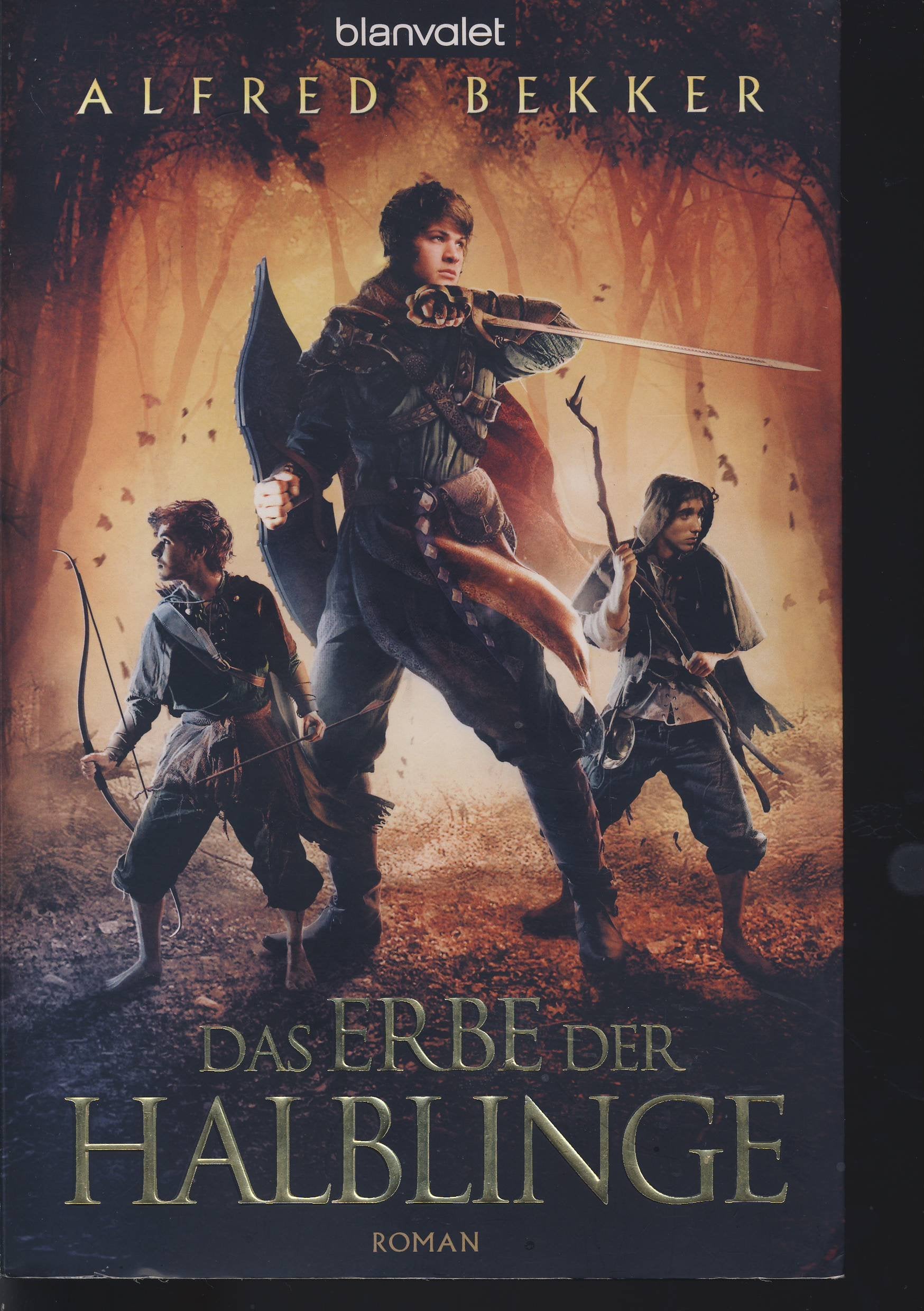 Das Erbe der Halblinge Contemporary literature Books