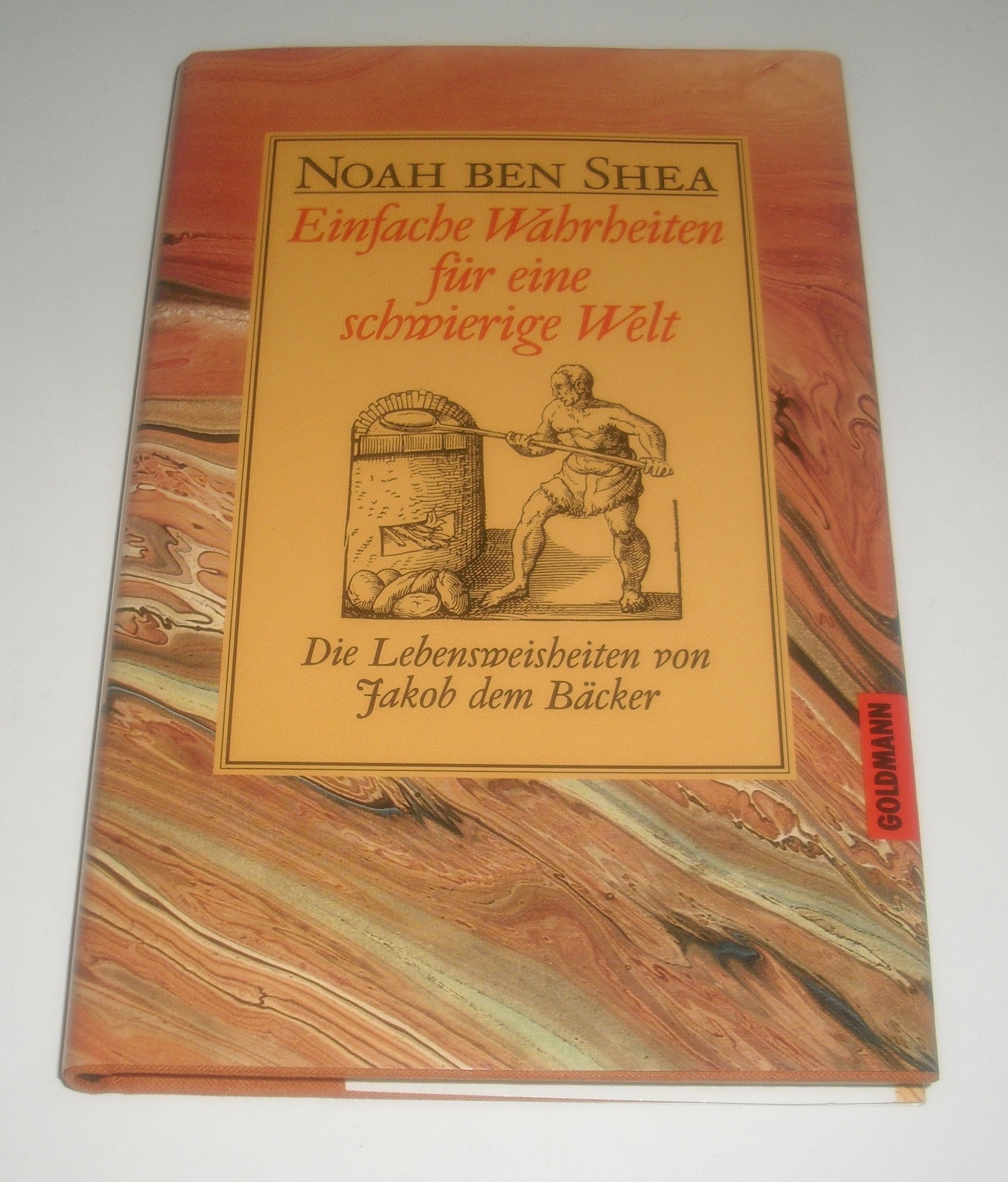 Einfache Wahrheiten für eine schwierige Welt Books