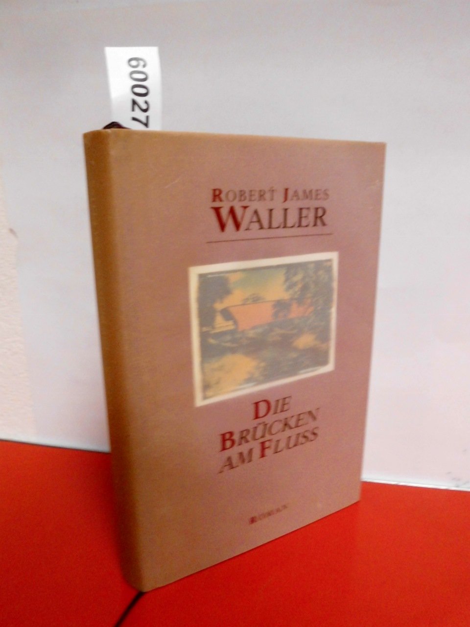 Die Brücken am Fluß Contemporary literature Books