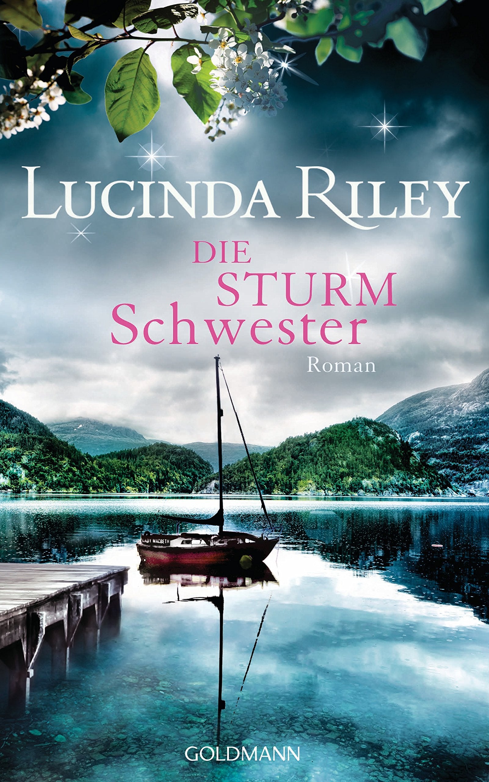 Die Sturmschwester Contemporary literature Books