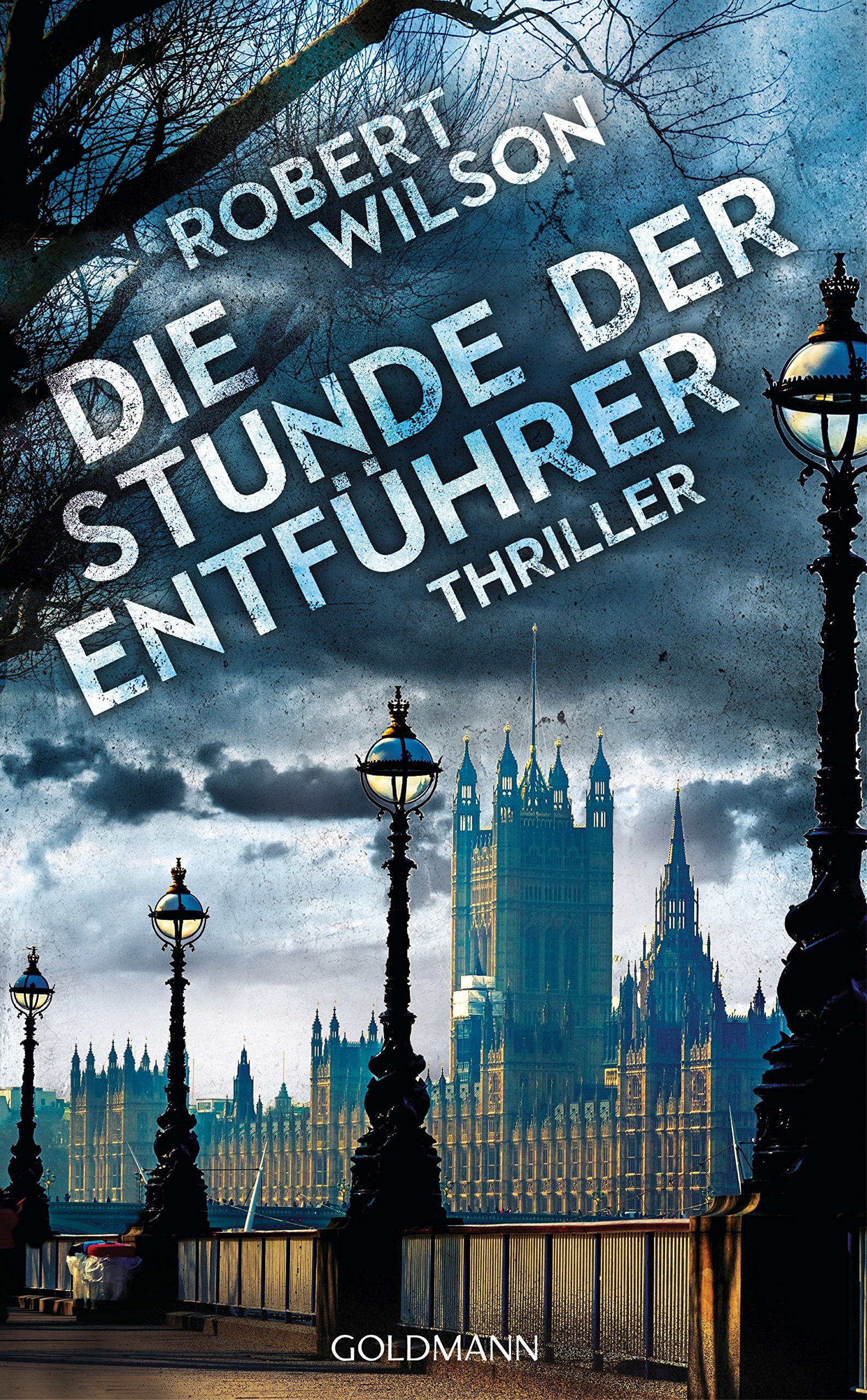 Die Stunde der Entführer Contemporary literature Books