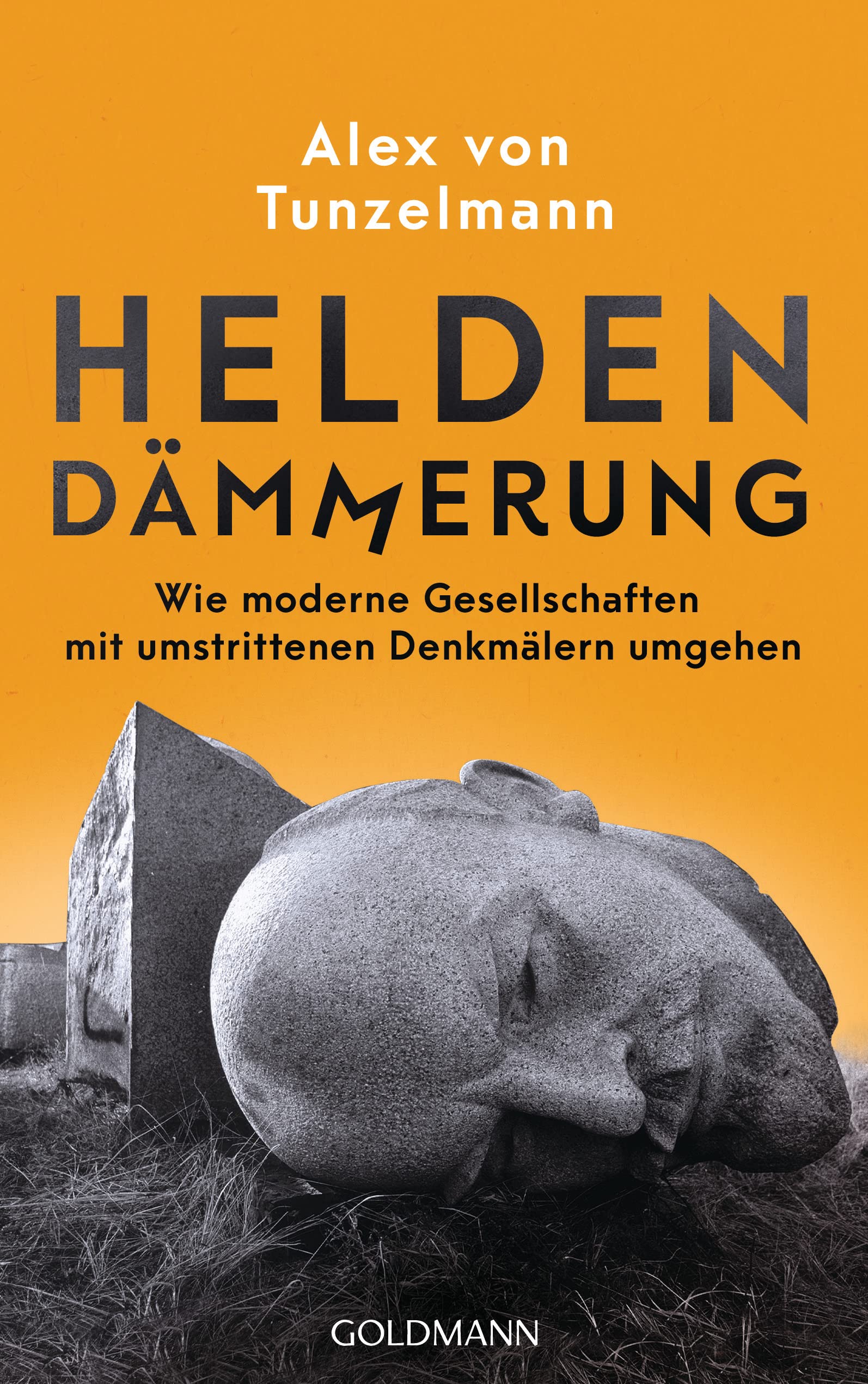 Heldendämmerung Politics & History books