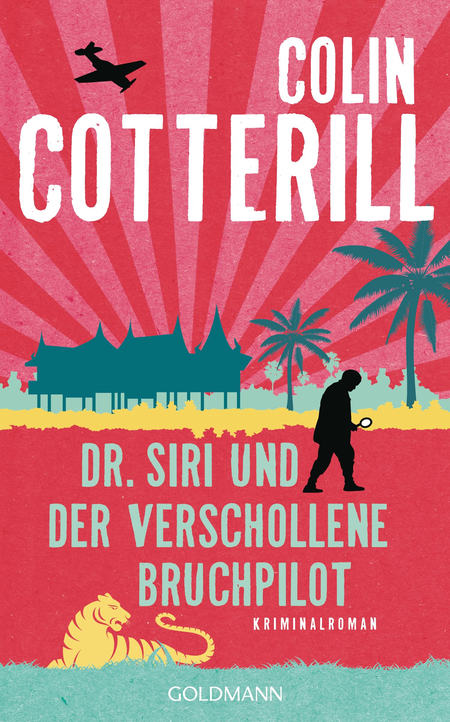 Dr. Siri und der verschollene Bruchpilot (Siri 15) Contemporary literature