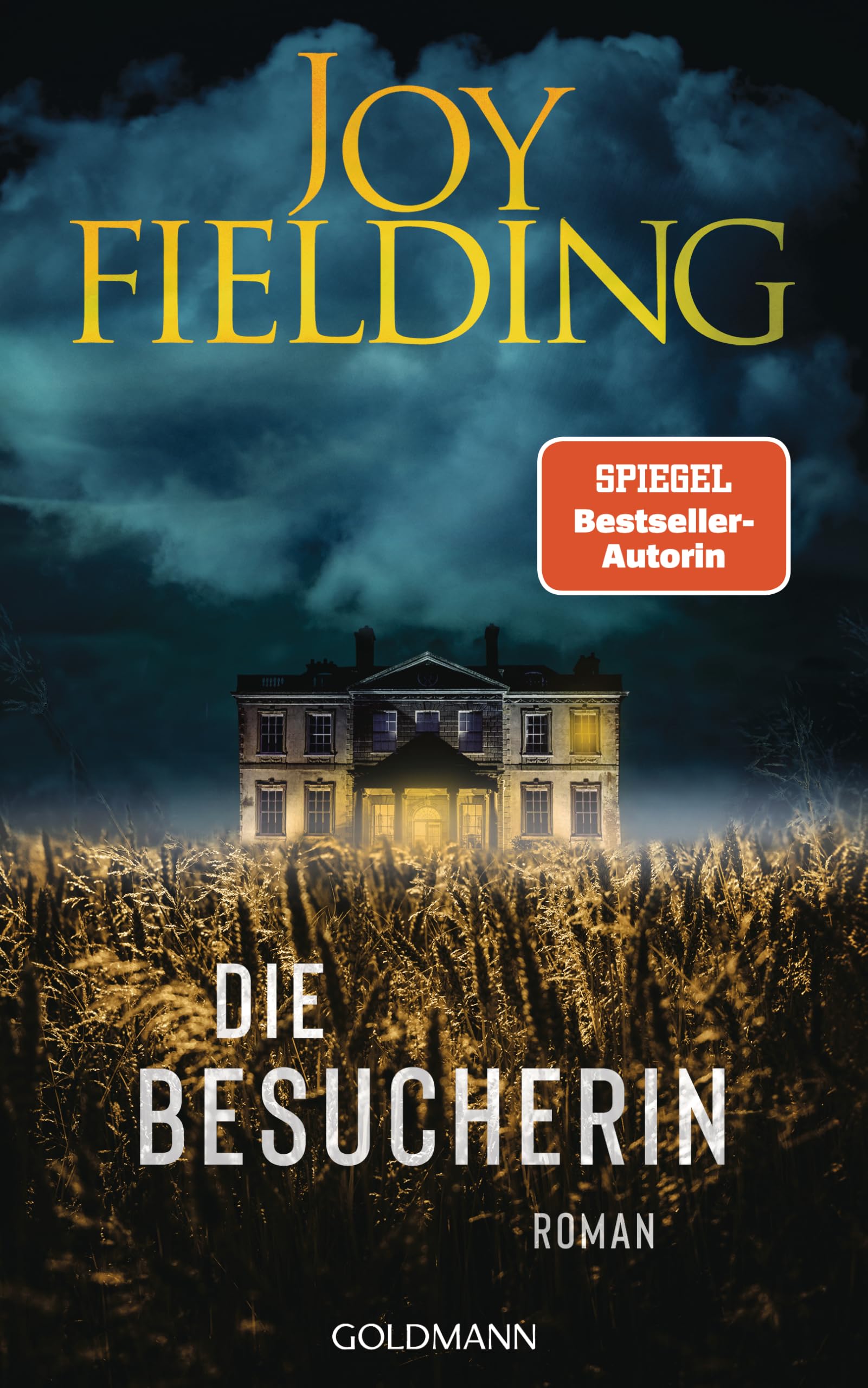 Die Besucherin Contemporary literature Books