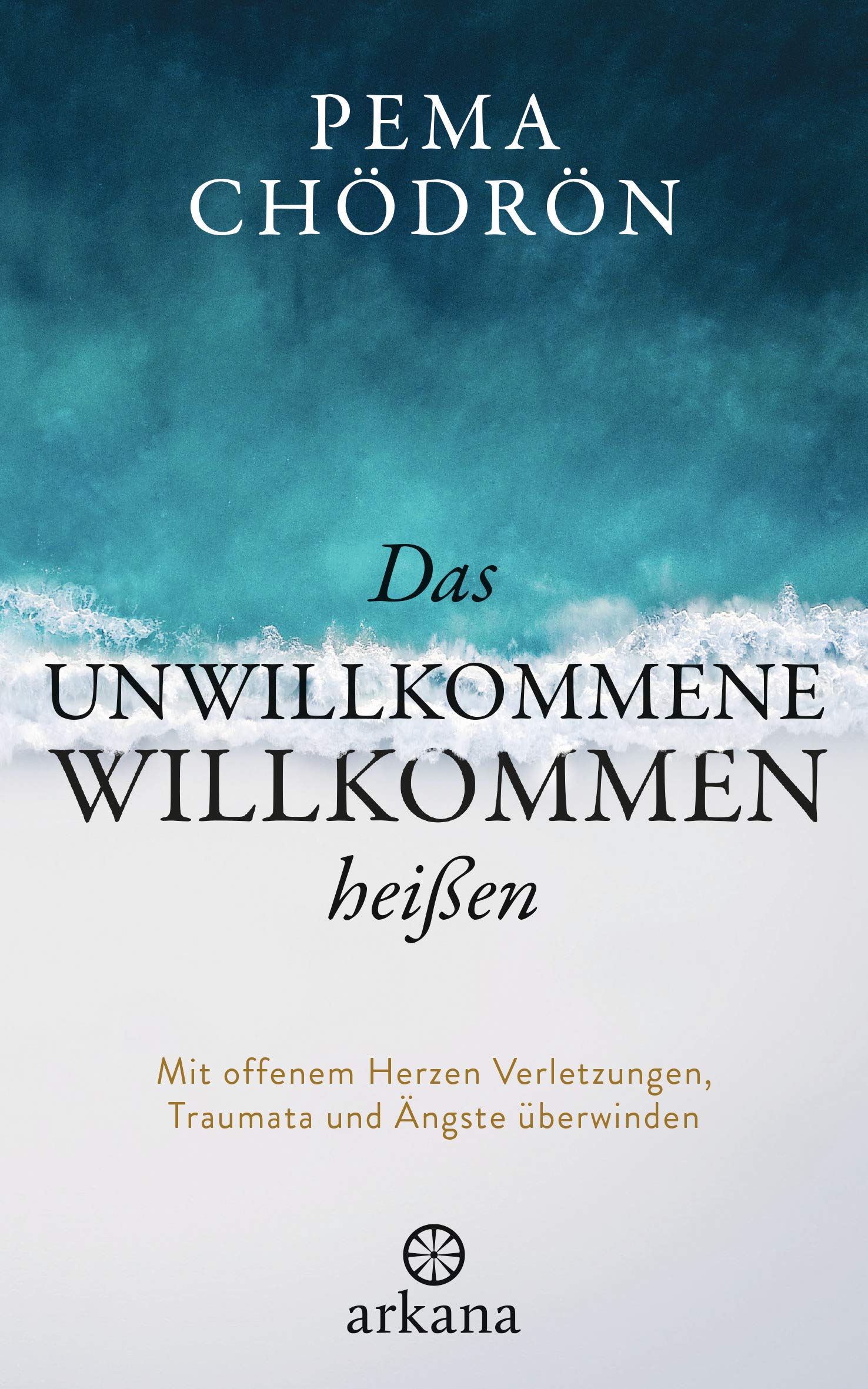 Product Image: Das Unwillkommene willkommen heißen