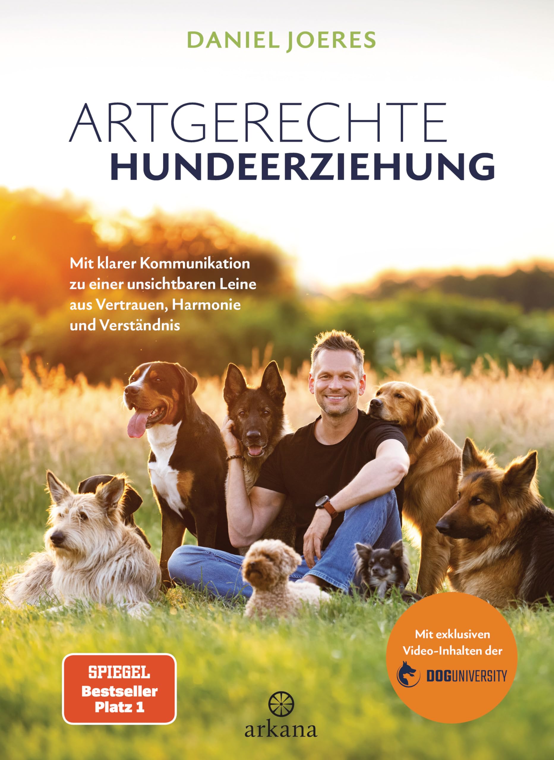 Artgerechte Hundeerziehung Pets