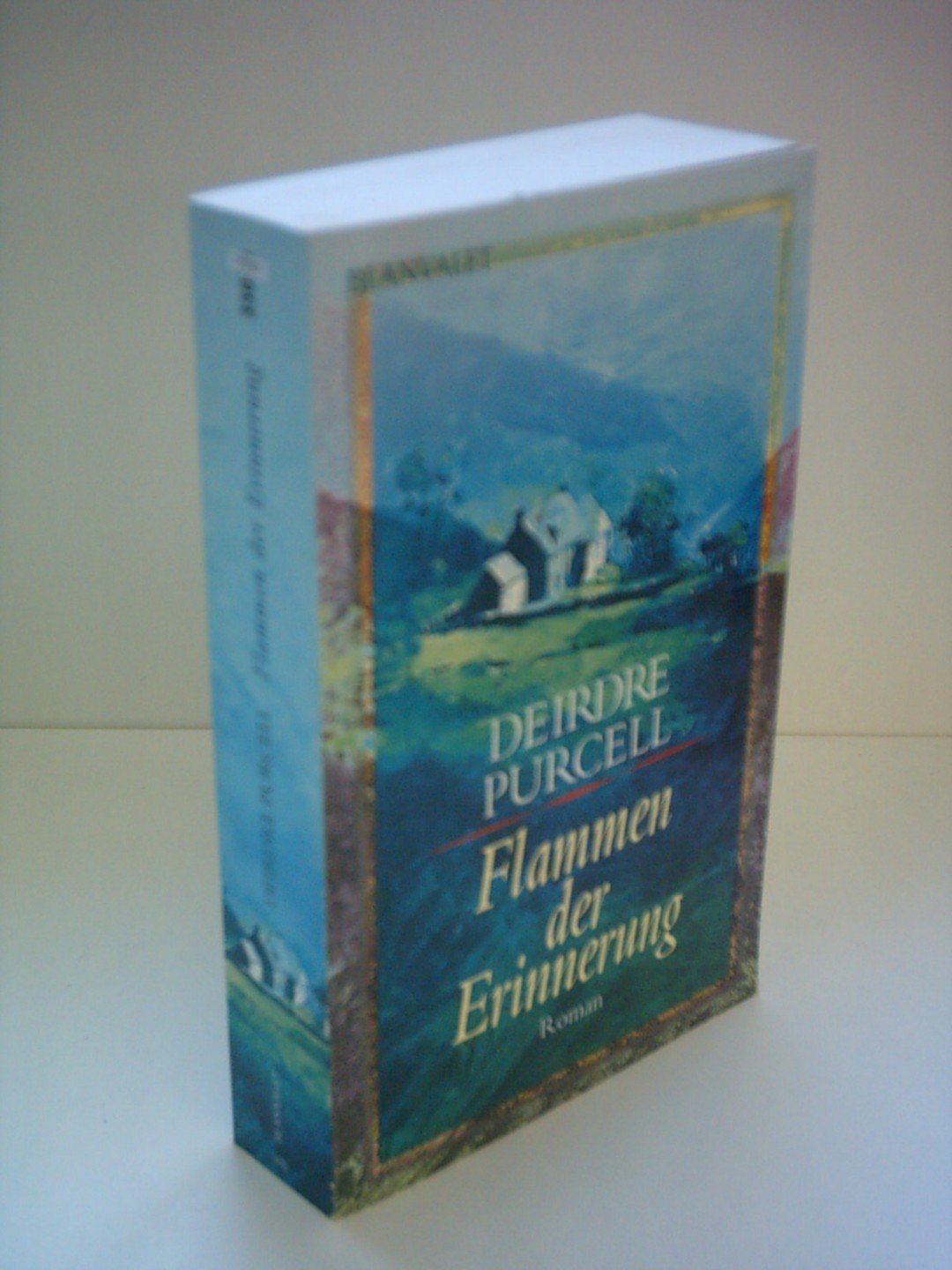 Flammen der Erinnerung (Blanvalet Taschenbuch) Fiction