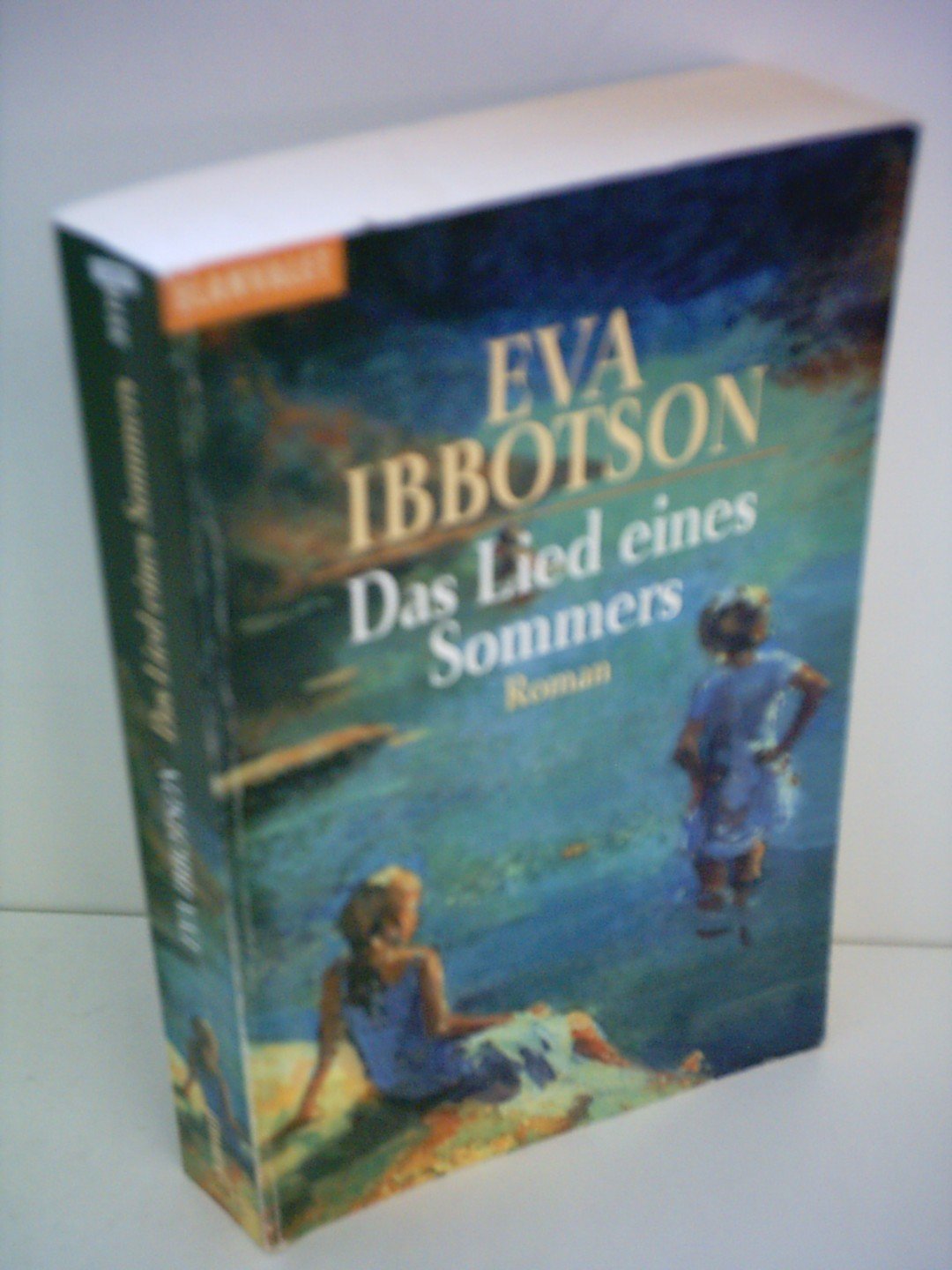 Das Lied eines Sommers: Roman Contemporary literature Books