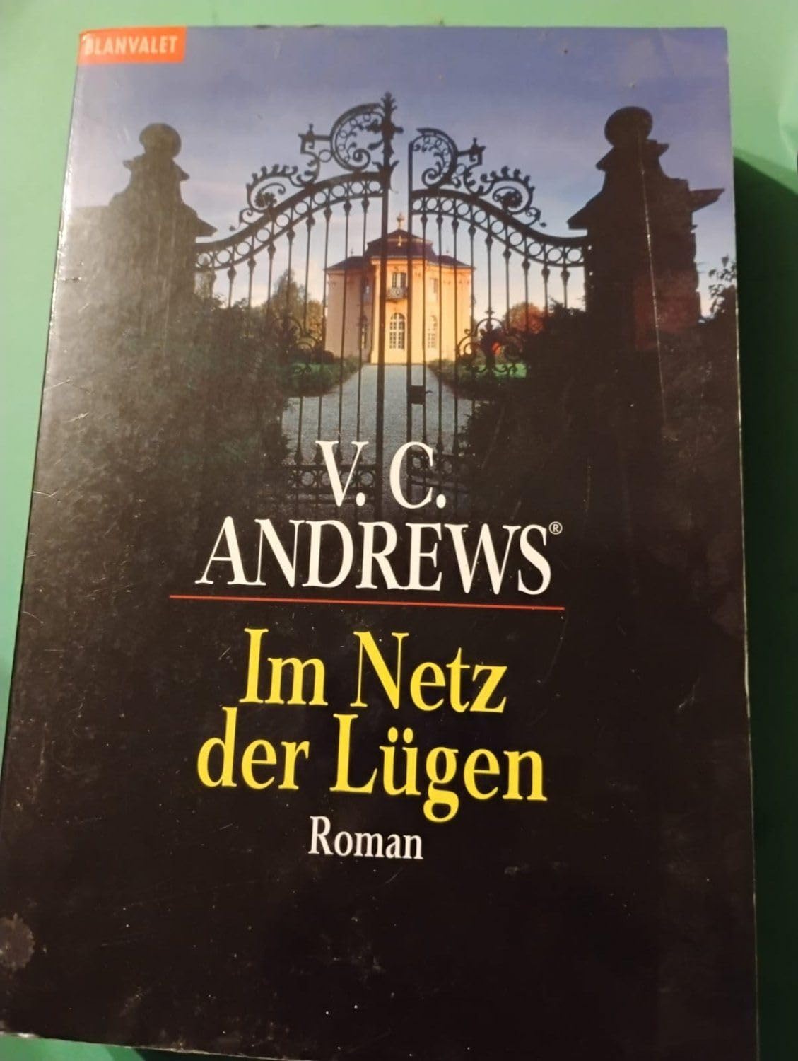 Im Netz der Lügen Contemporary literature Books