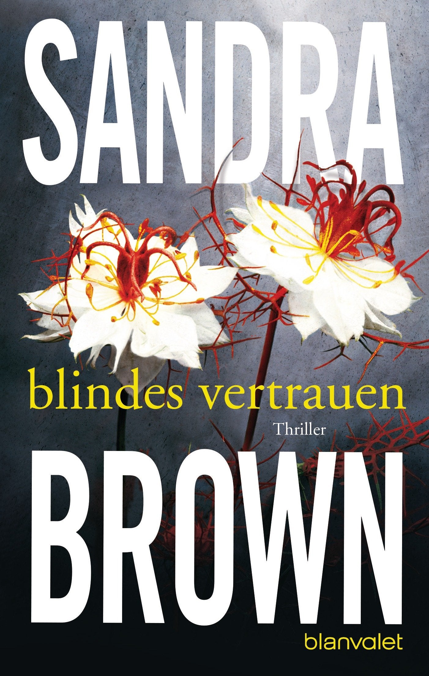Blindes Vertrauen Contemporary literature Books