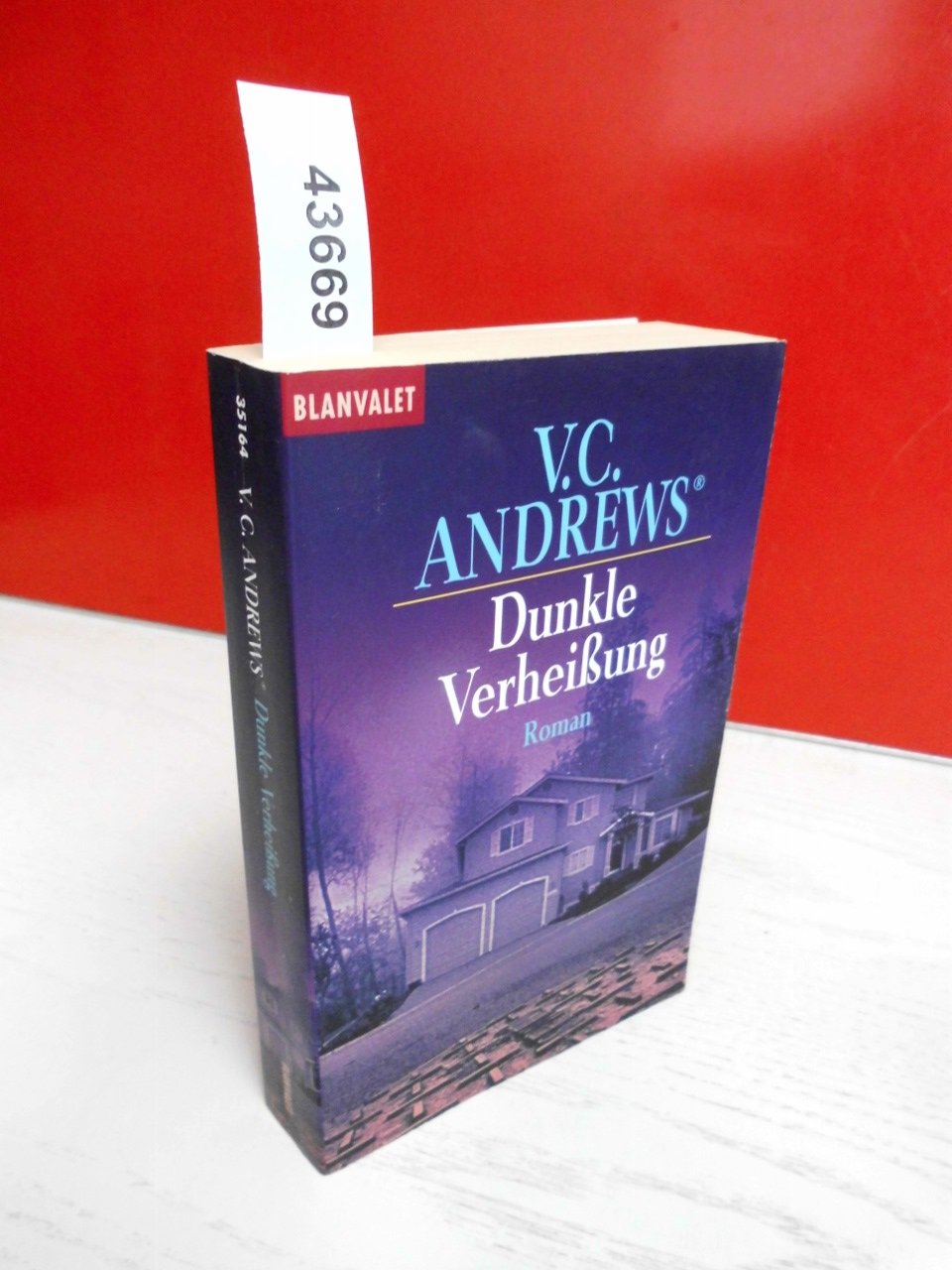 Dunkle Verheißung Contemporary literature Books