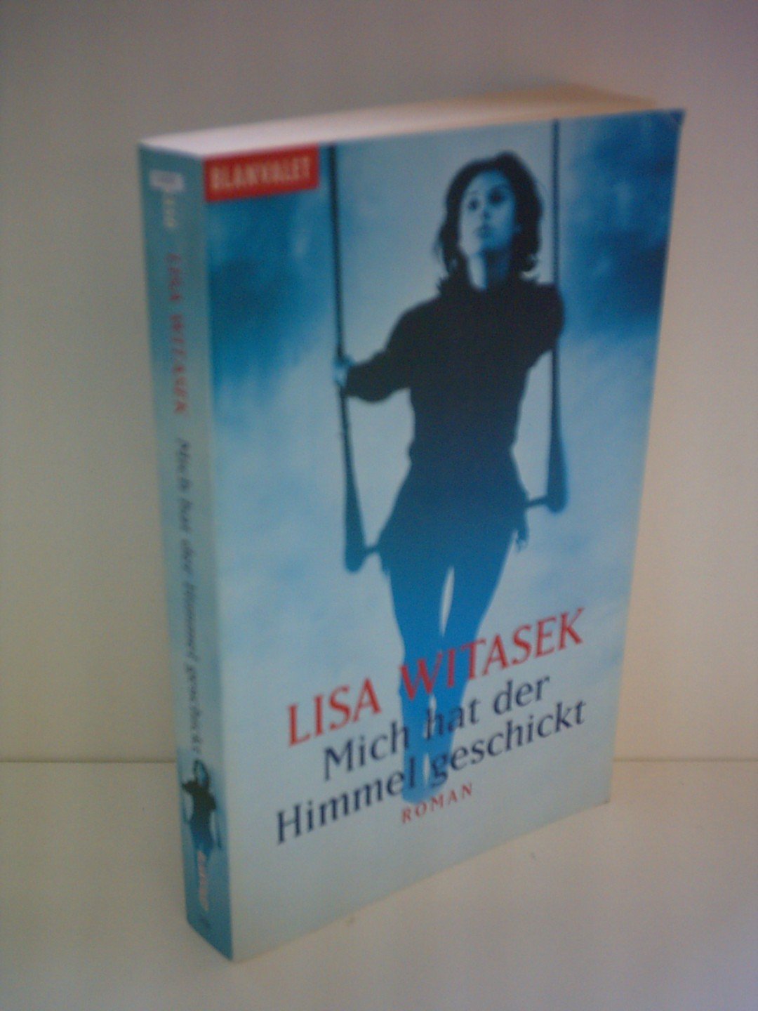 Mich hat der Himmel geschickt. Träum weiter, Liebling Contemporary literature