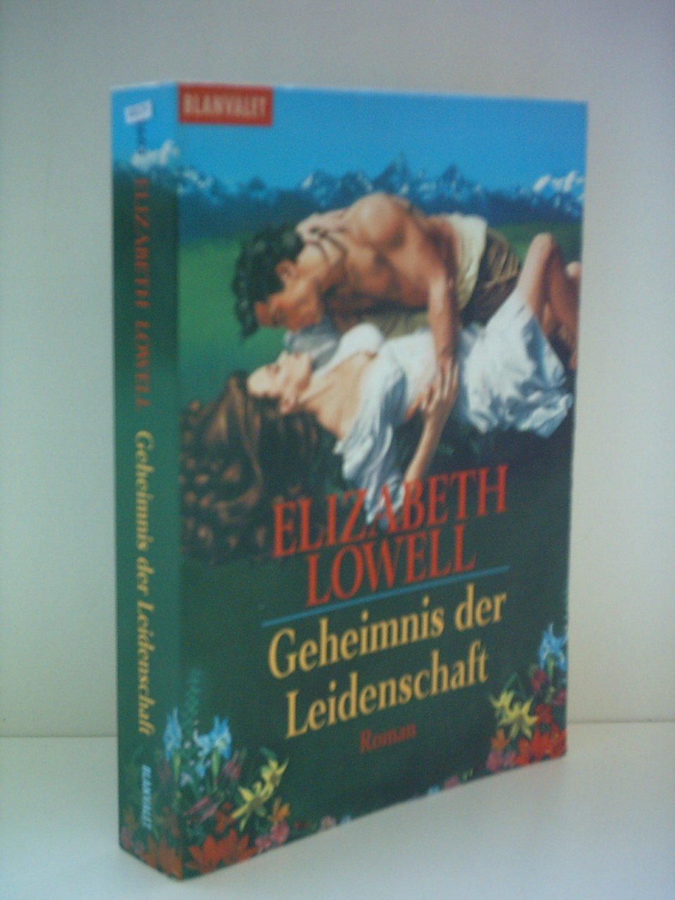 Geheimnis der Leidenschaft: Roman (Blanvalet Taschenbuch) Contemporary literature