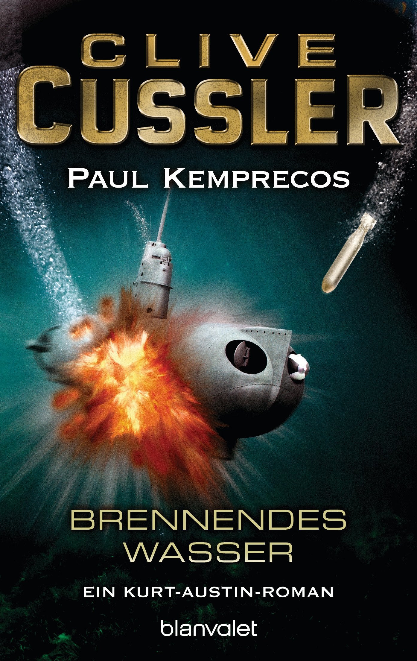 Brennendes Wasser Contemporary literature Books