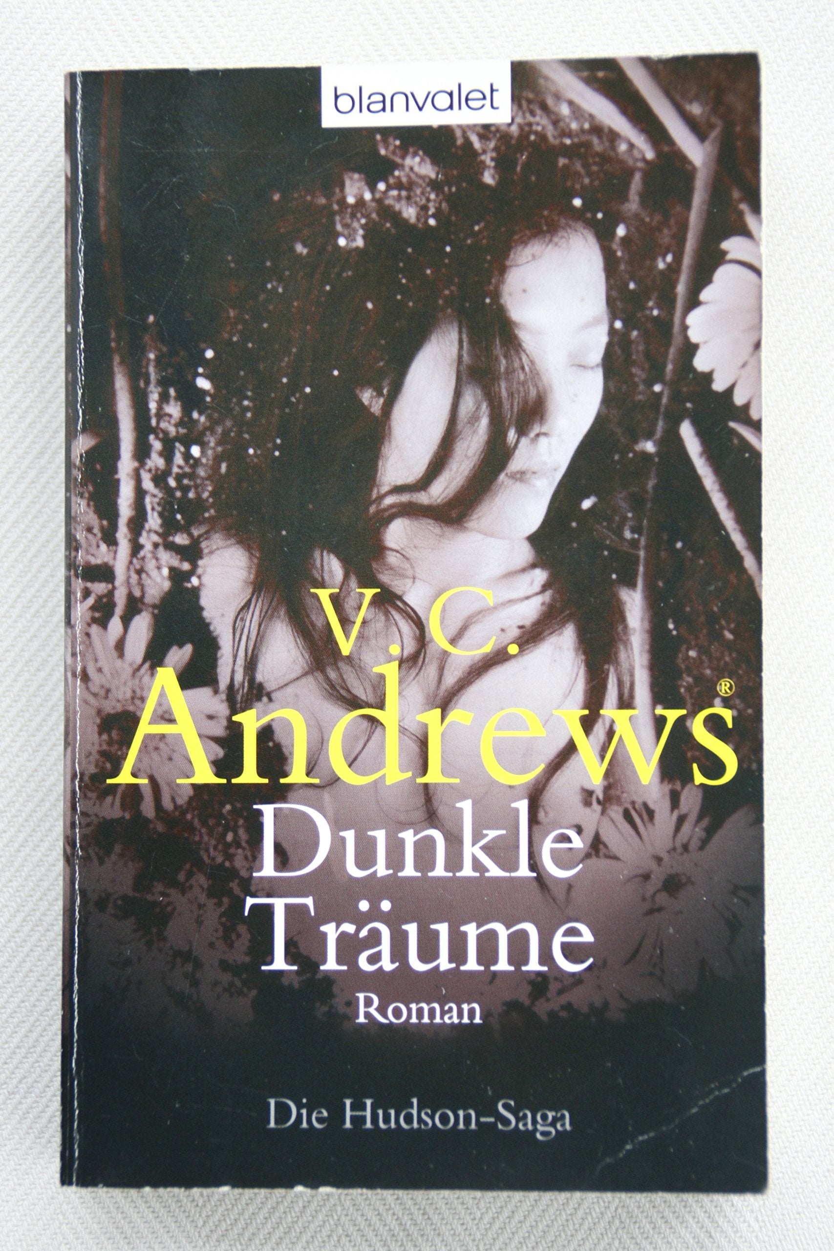 Dunkle Träume: Roman - Die Hudson-Saga Contemporary literature