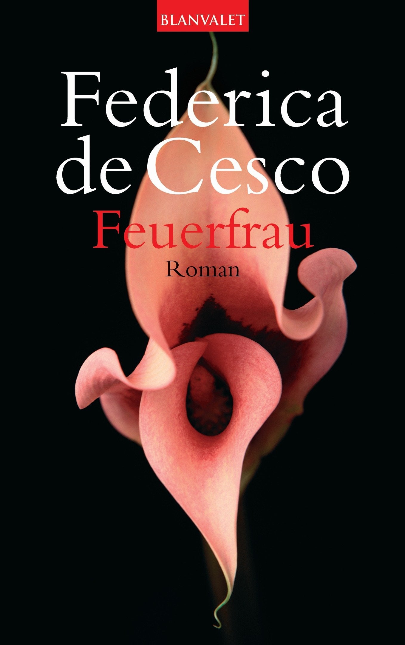 Feuerfrau: Roman Contemporary literature