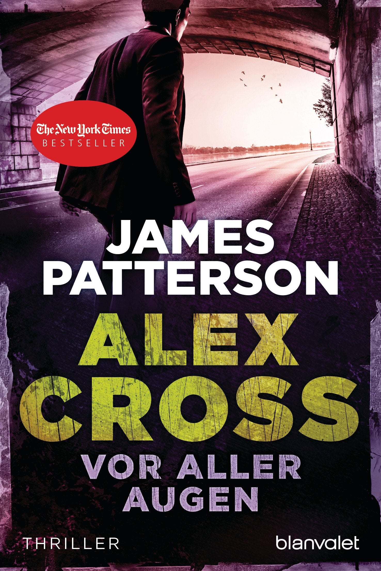 Vor aller Augen Contemporary literature Books