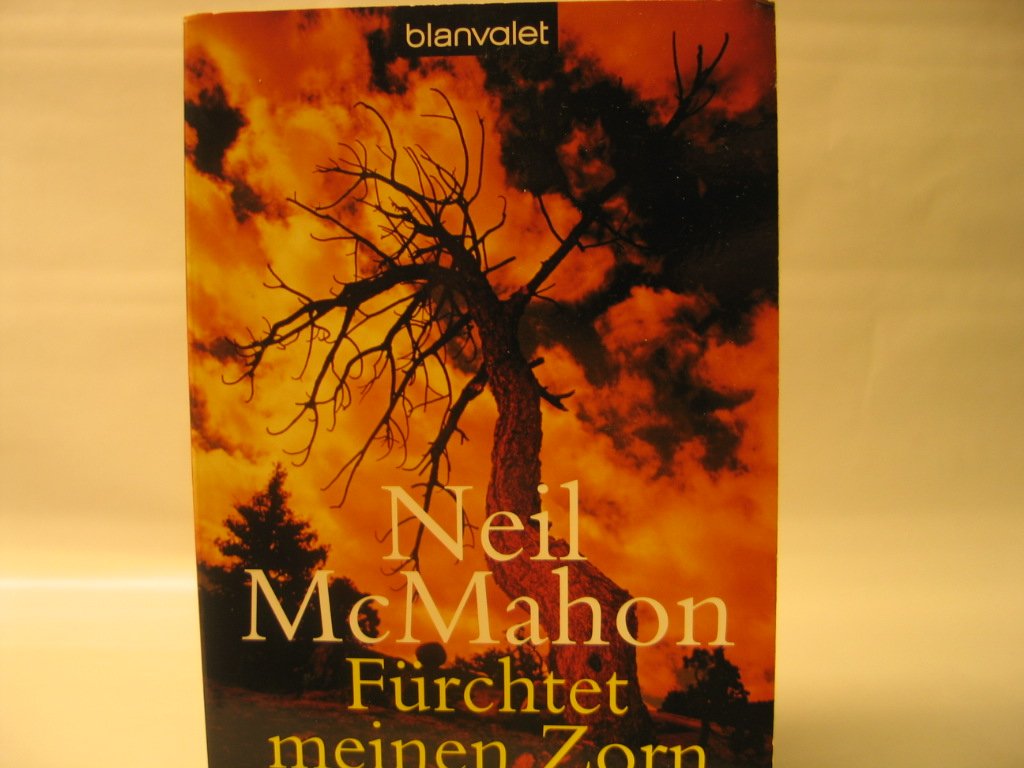 Fürchtet meinen Zorn Action & Adventure
