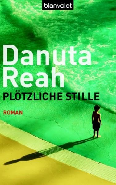 Plötzliche Stille: Roman (Tb-Aktionstitel) Action & Adventure