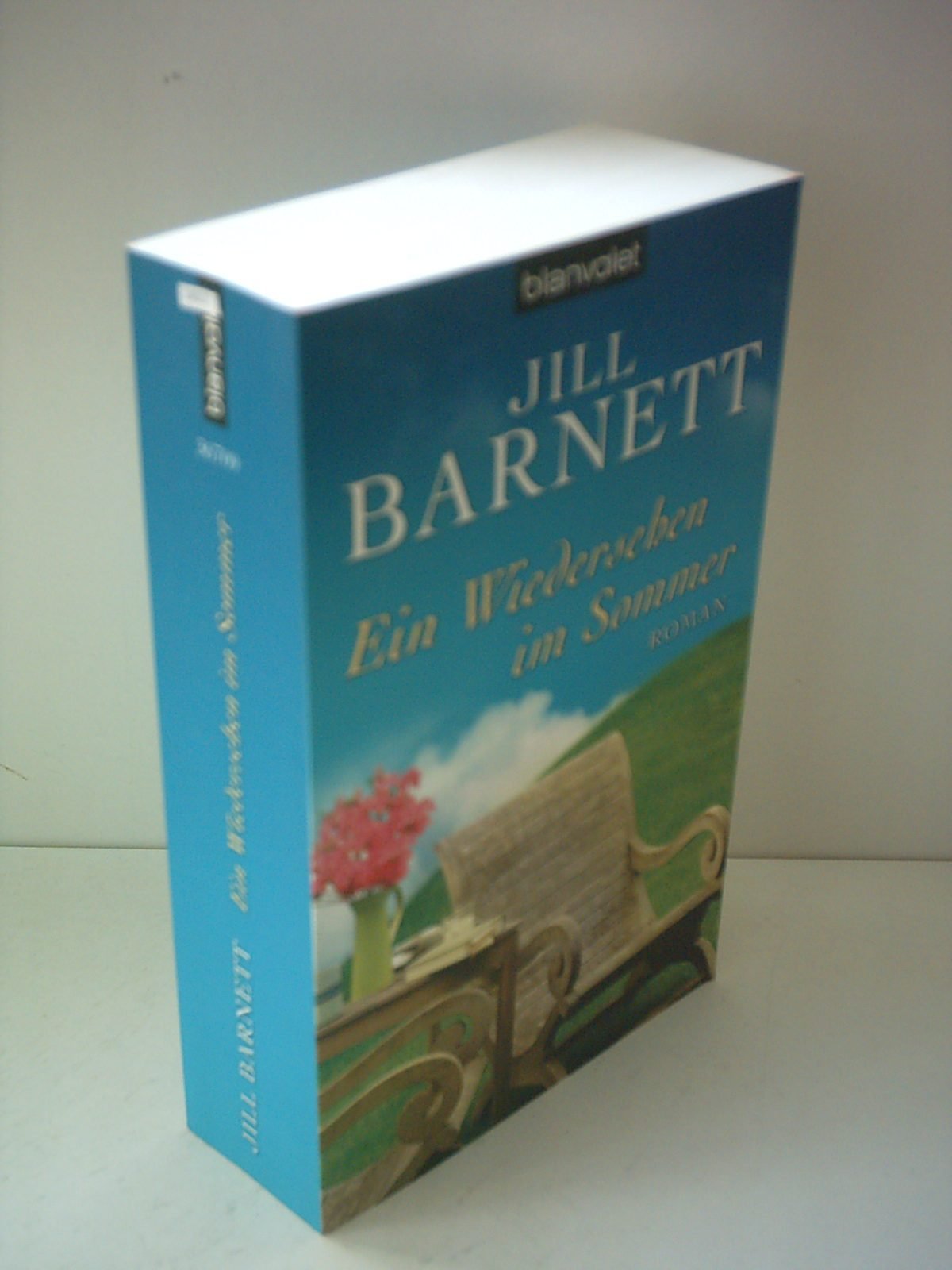 Ein Wiedersehen im Sommer: Roman Books