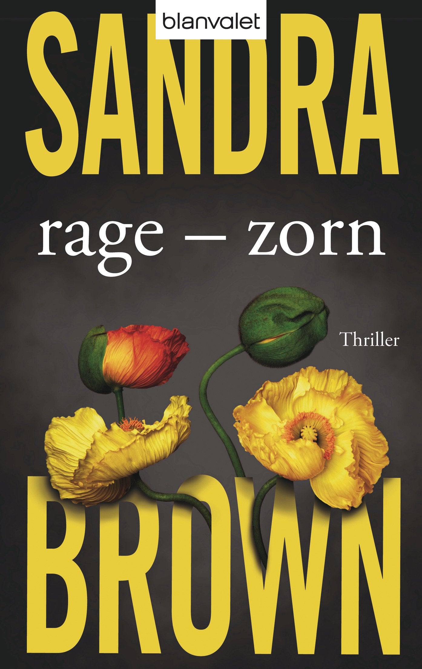 Rage - Zorn Contemporary literature Books