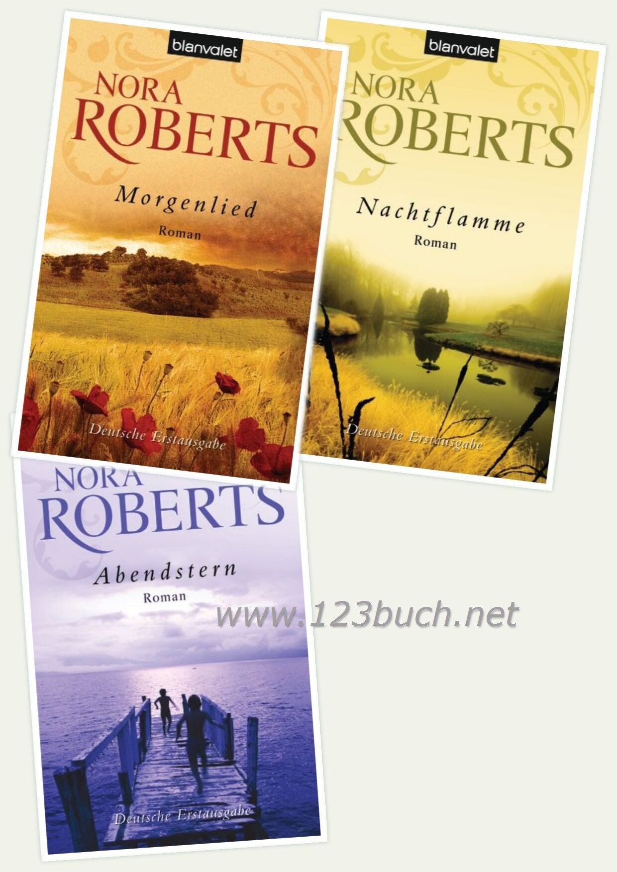 Abendstern: Roman: Roman. Deutsche Erstausgabe (Die Nacht-Trilogie, Band 1) Contemporary literature