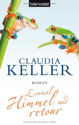 Einmal Himmel und retour: Roman Contemporary literature