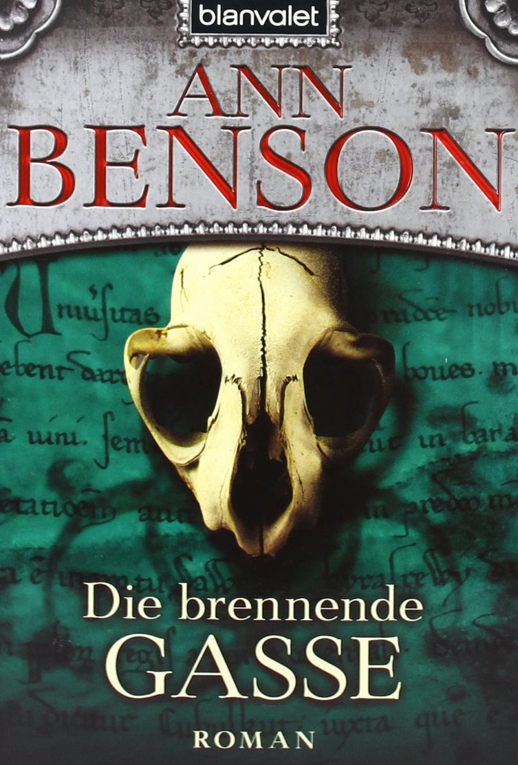 Die brennende Gasse: Roman Historical Fiction