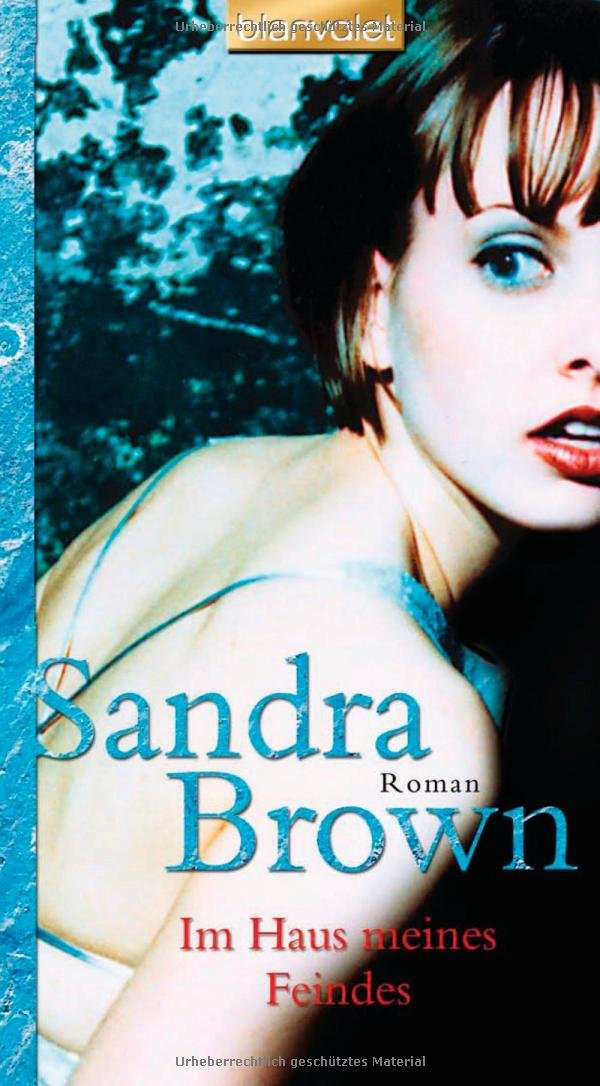 Im Haus meines Feindes: Roman Contemporary literature