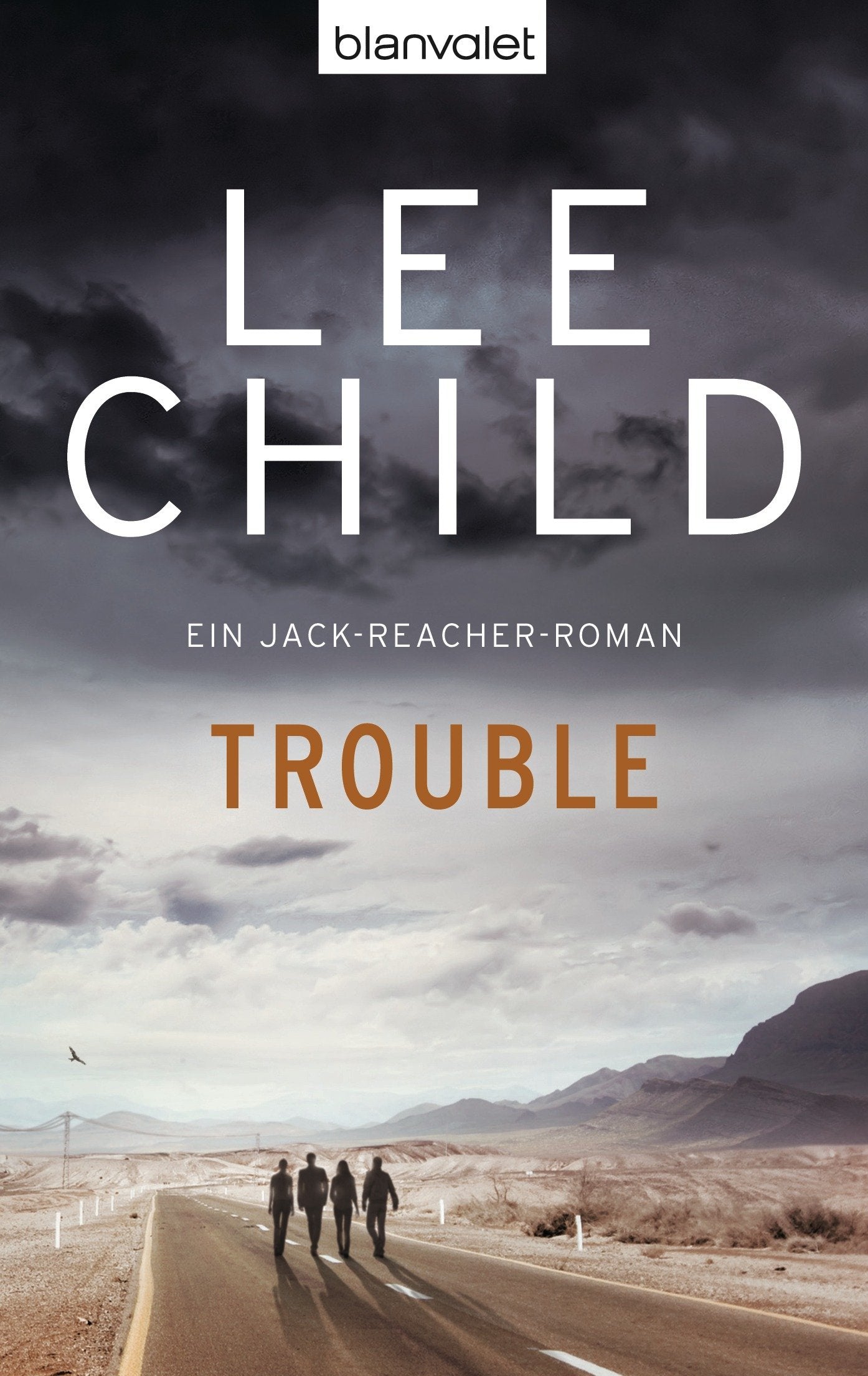 Trouble Contemporary literature Books