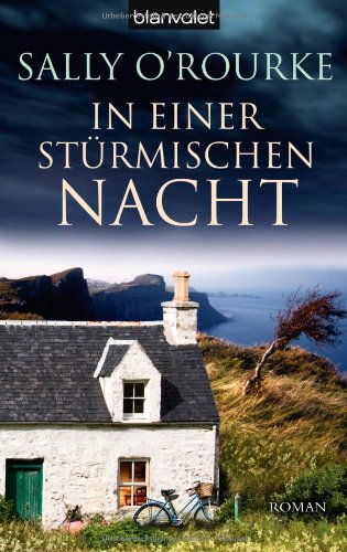 In einer stürmischen Nacht: Roman: Roman. Deutsche Erstausgabe Contemporary literature