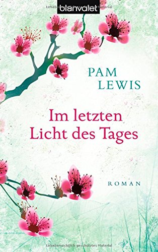 Im letzten Licht des Tages: Roman Books