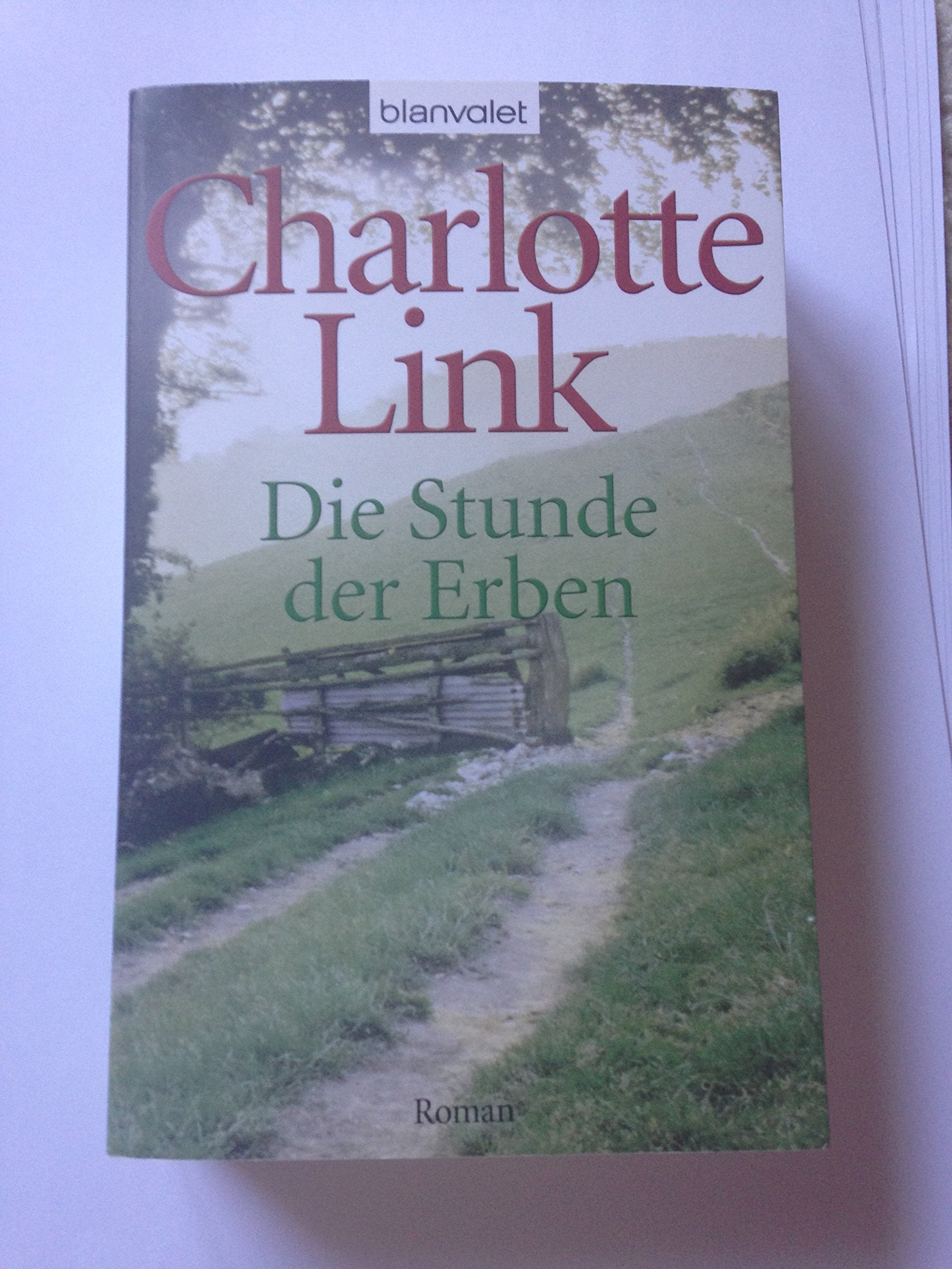 Die Stunde der Erben Contemporary literature Books