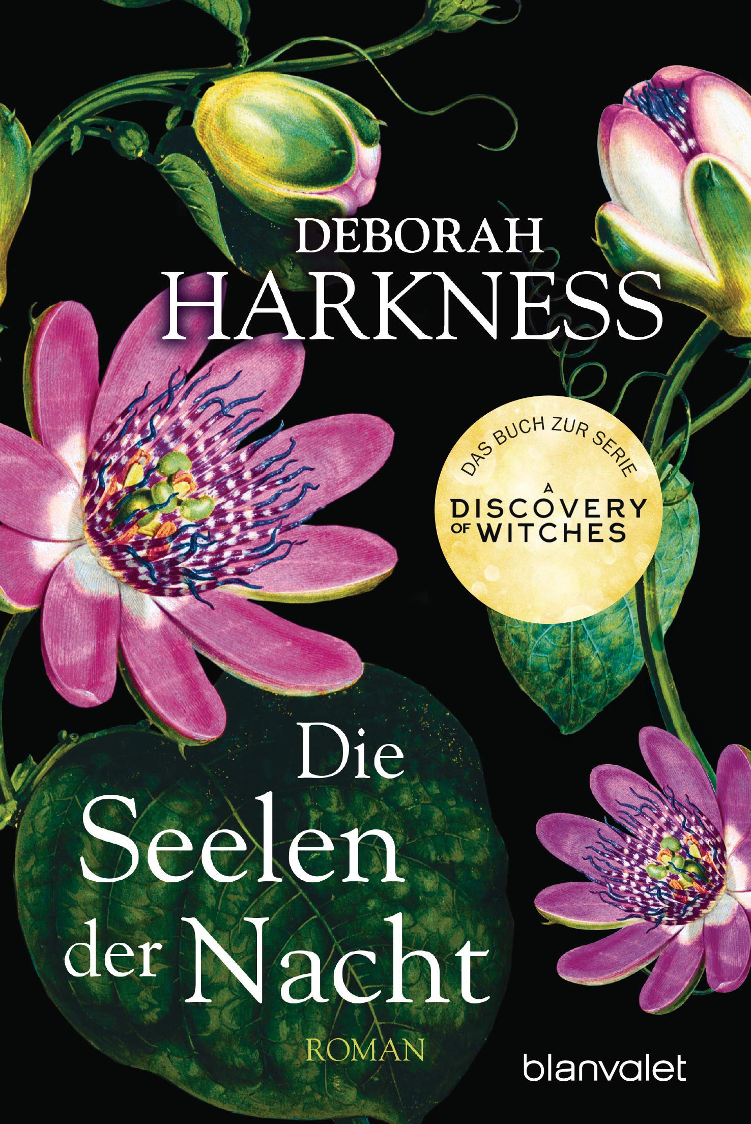 Product Image: Die Seelen der Nacht