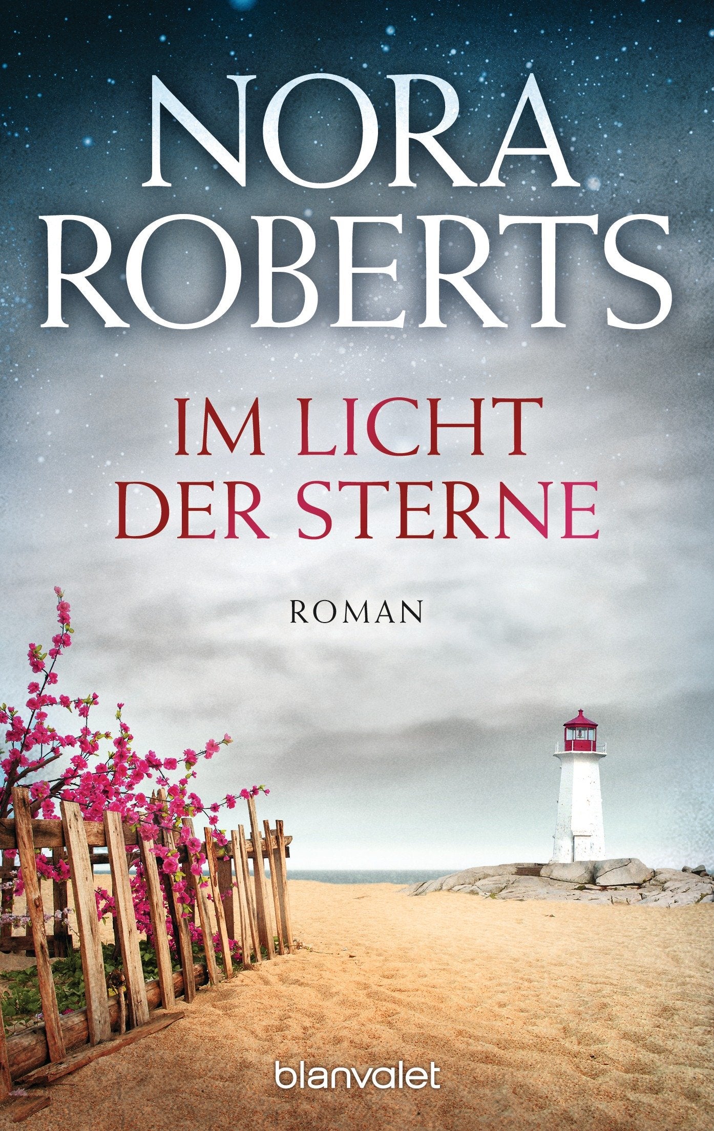Im Licht der Sterne Contemporary literature Books