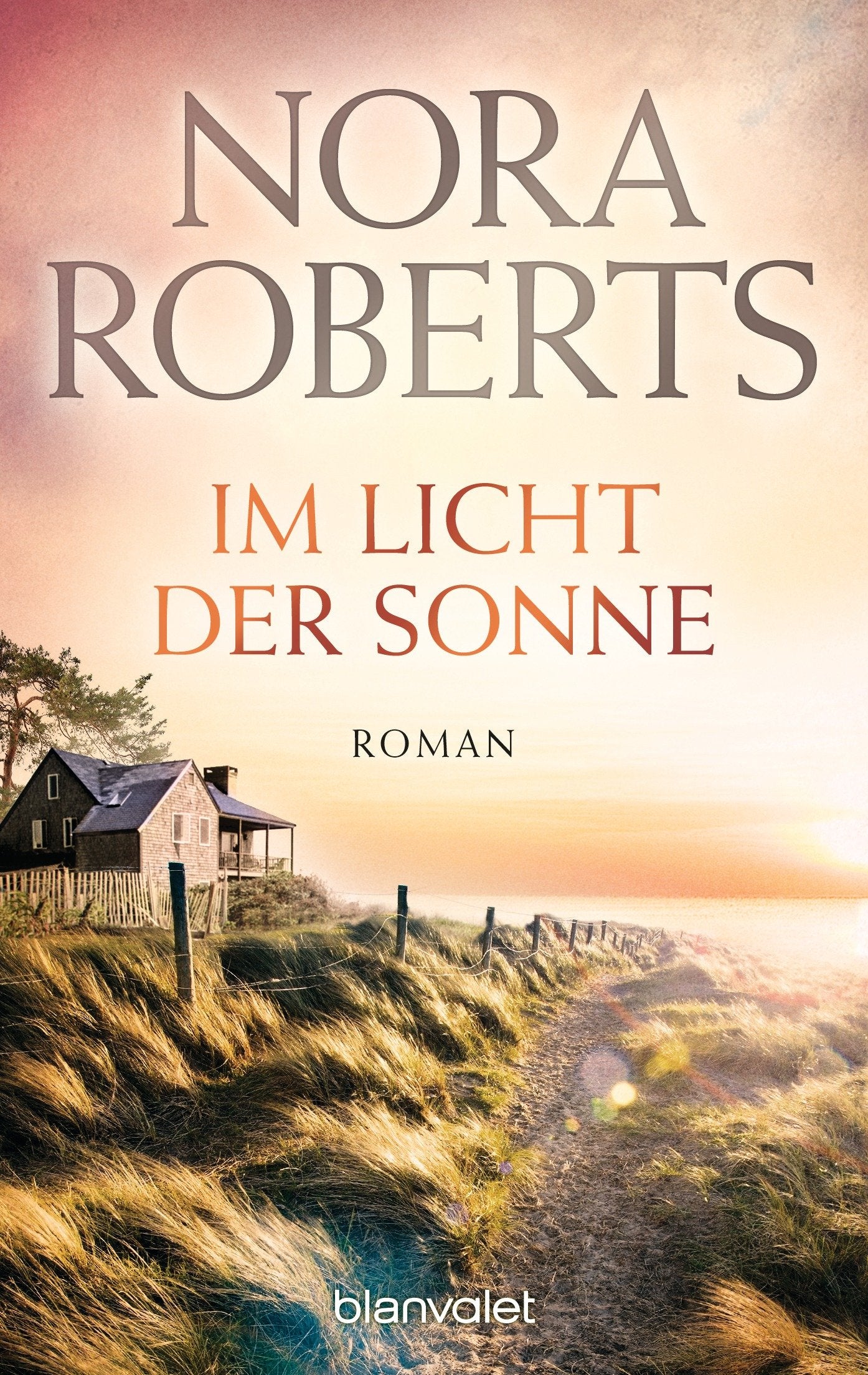 Im Licht der Sonne Contemporary literature Books