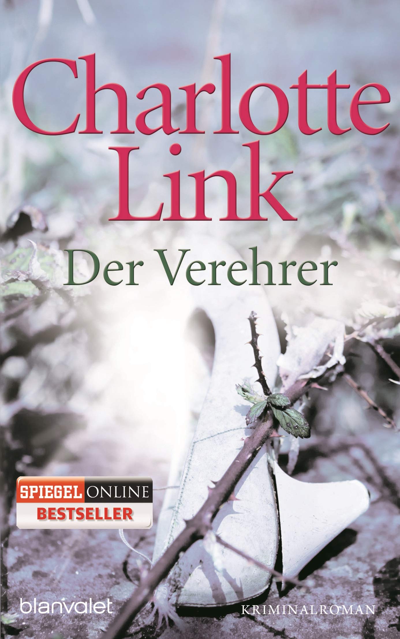 Der Verehrer Contemporary literature Books
