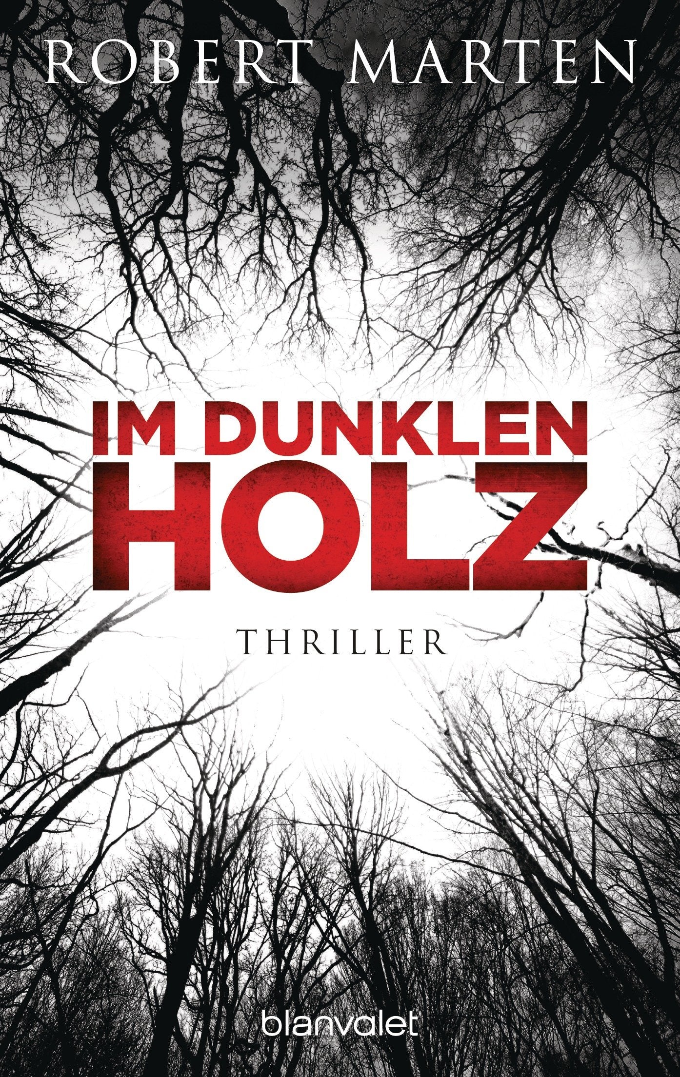 Im dunklen Holz: Thriller Contemporary literature Books
