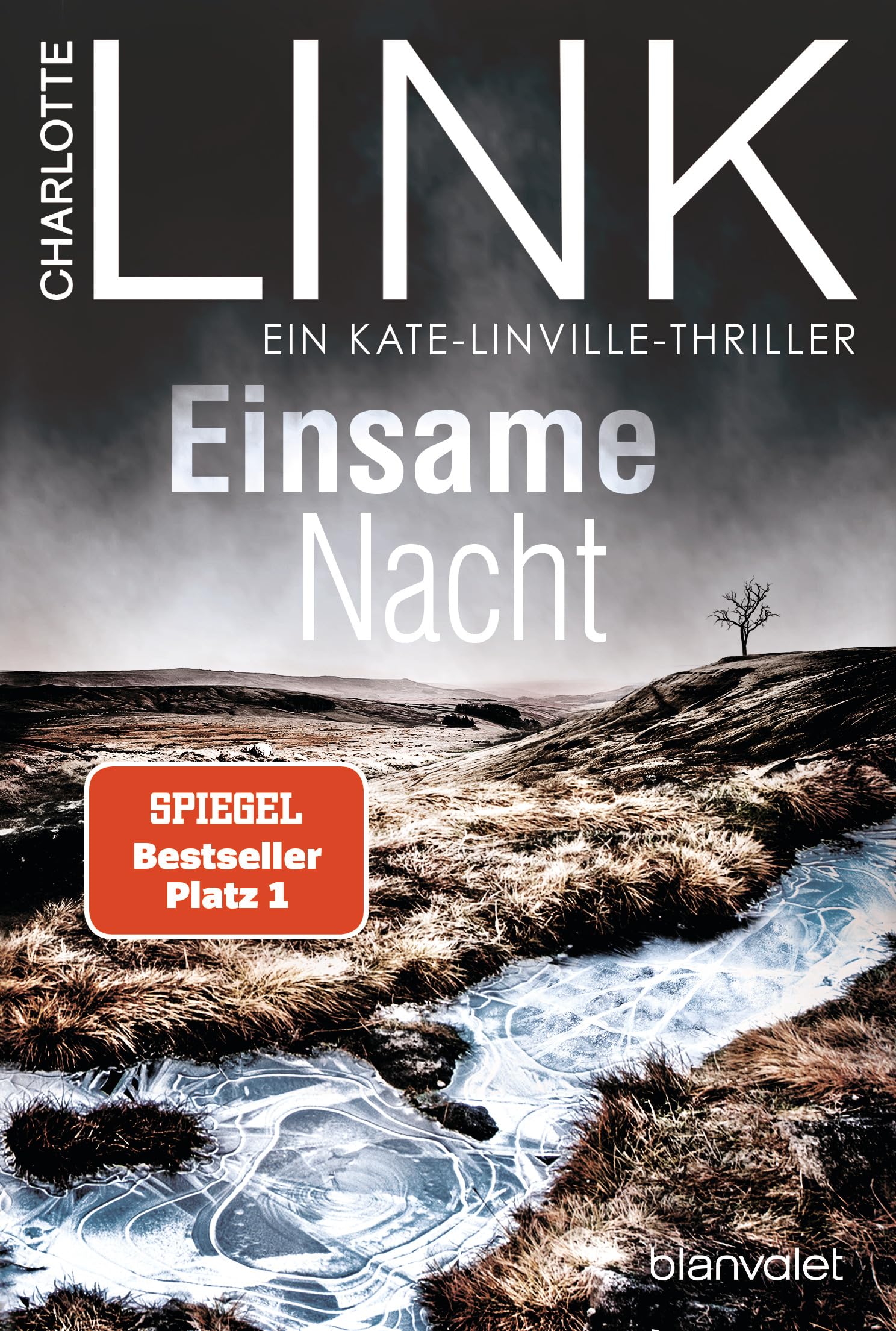Einsame Nacht Contemporary literature Books