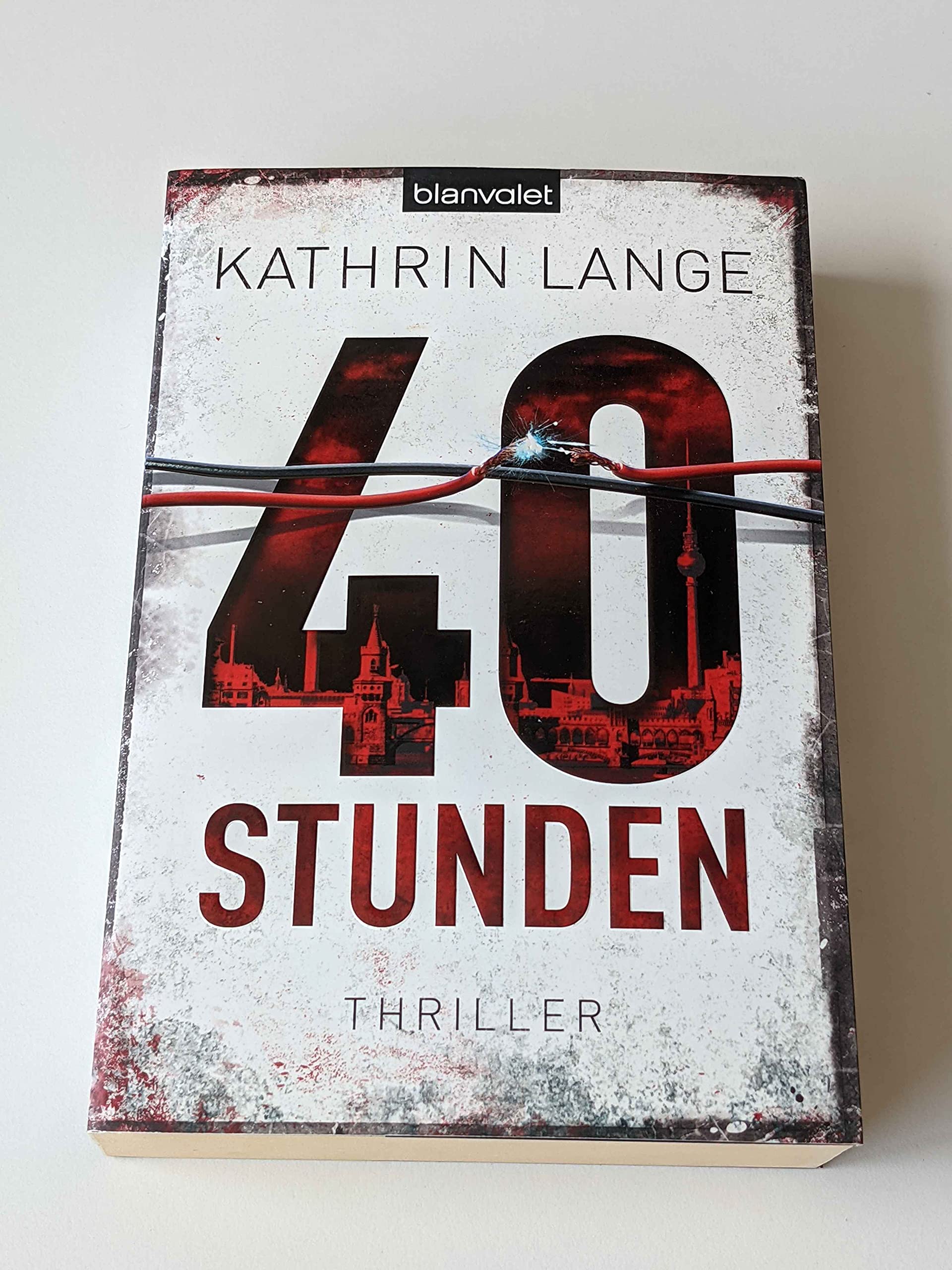 40 Stunden Contemporary literature Books