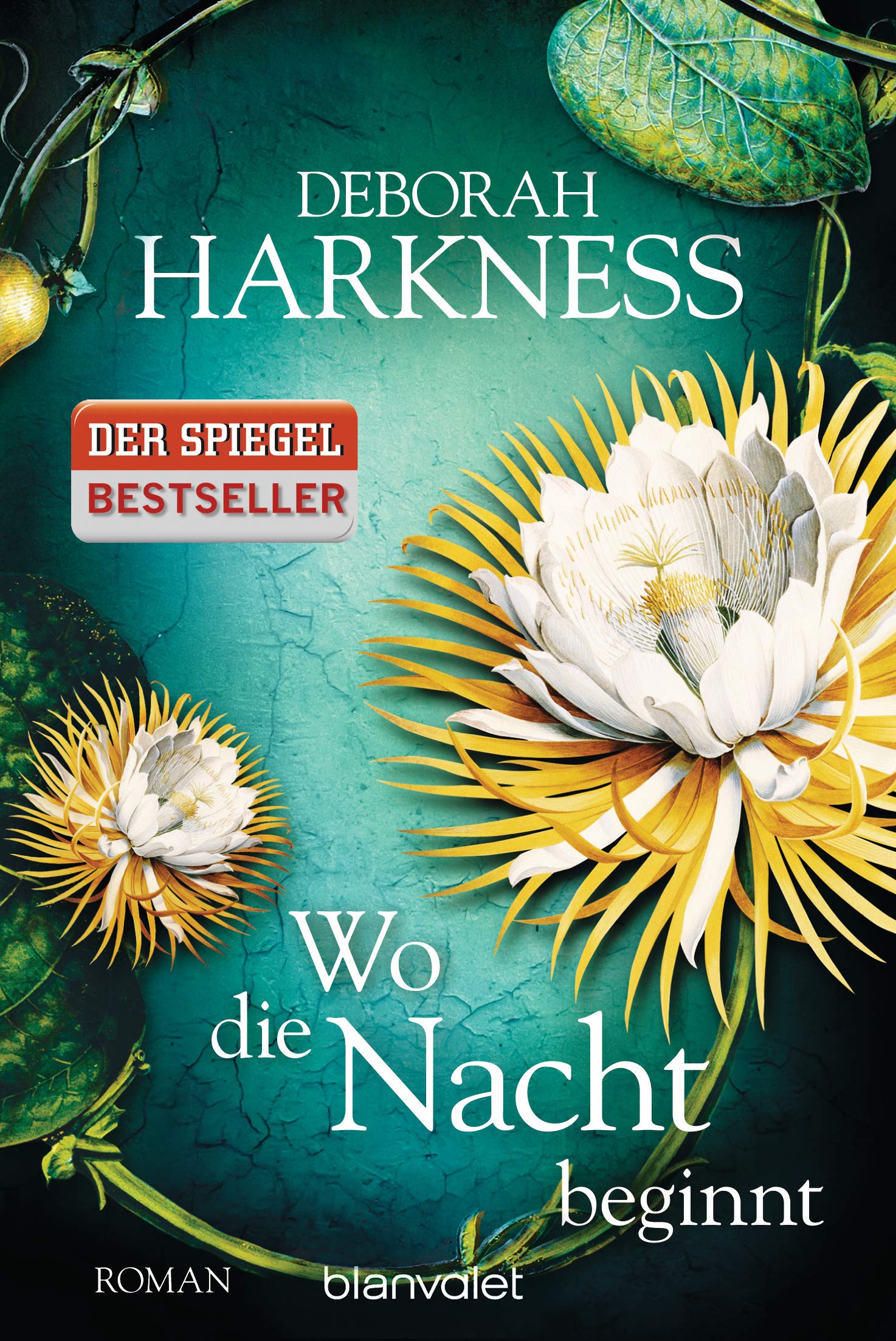 Product Image: Wo die Nacht beginnt