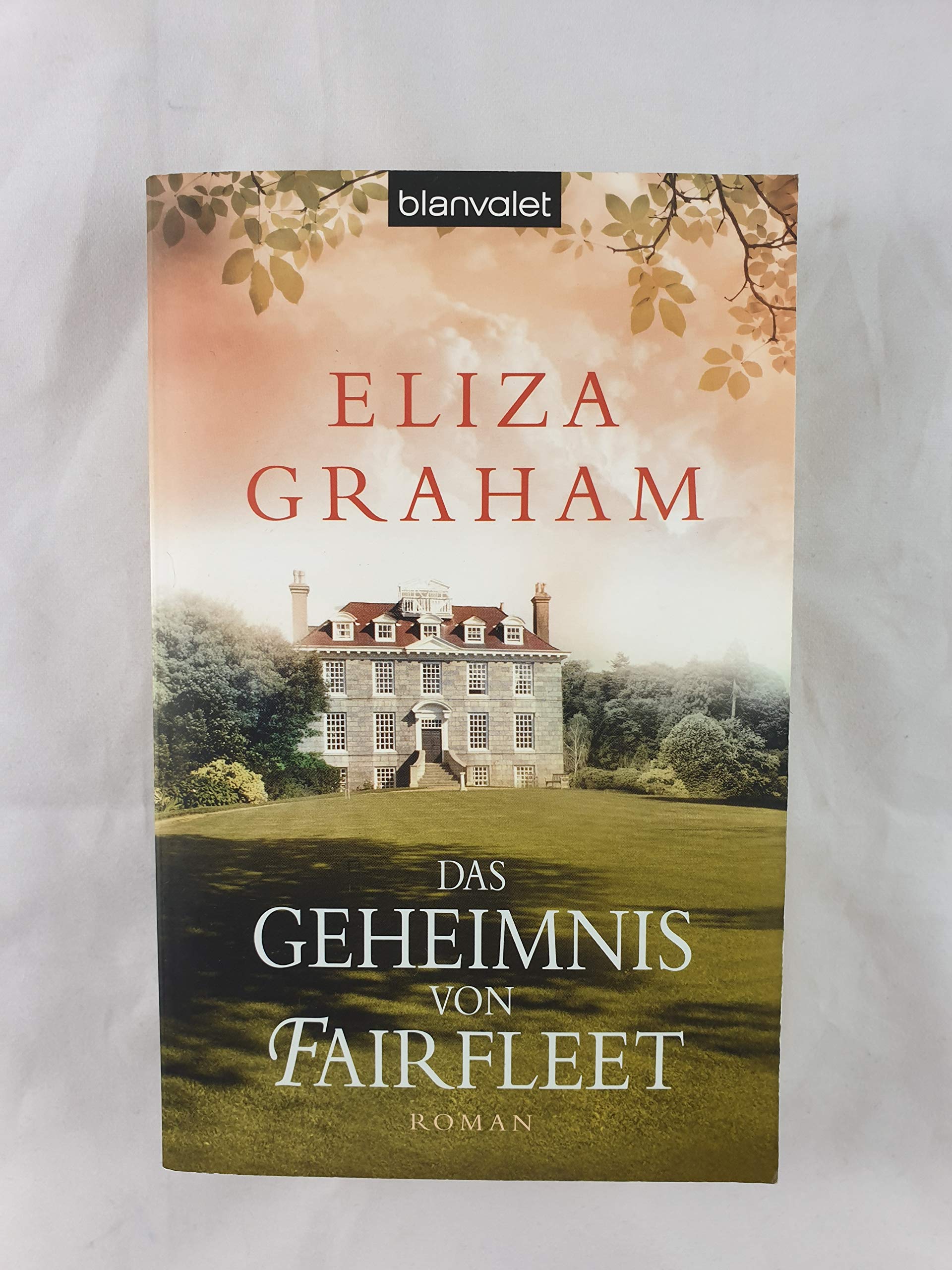 Das Geheimnis von Fairfleet Contemporary literature